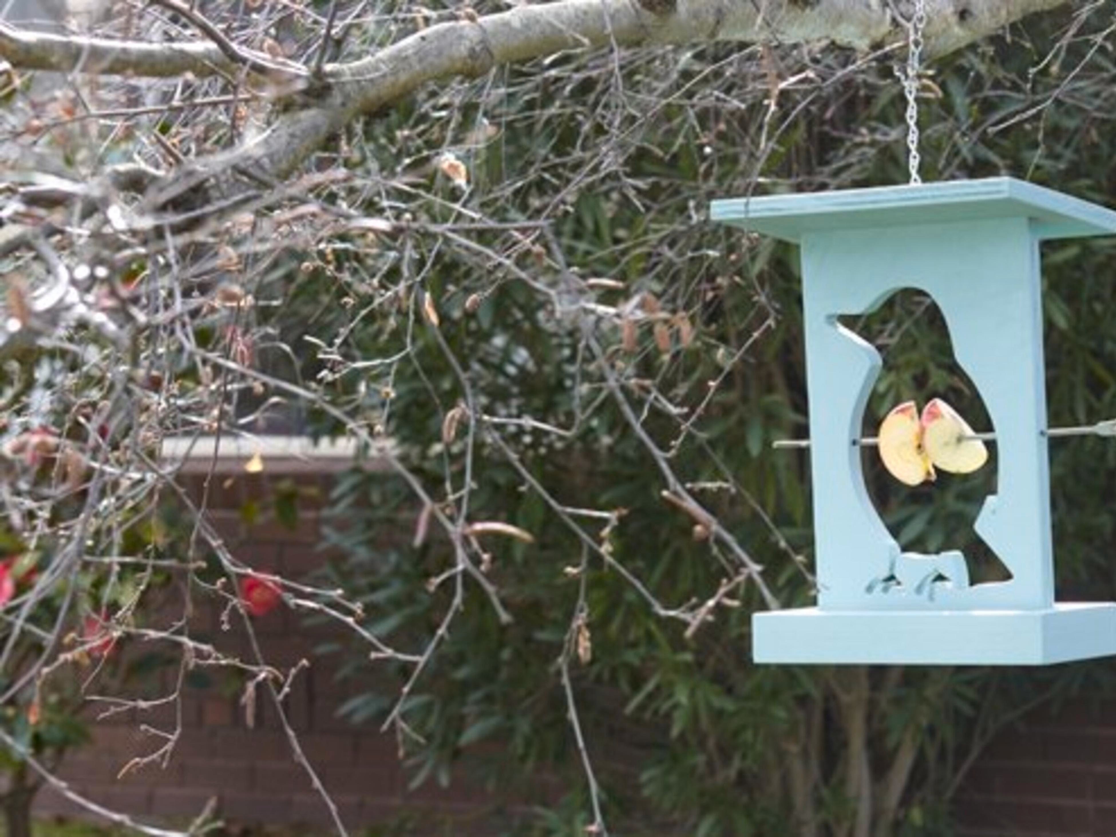 Bird Baths, Houses & Feeders Bunnings Australia