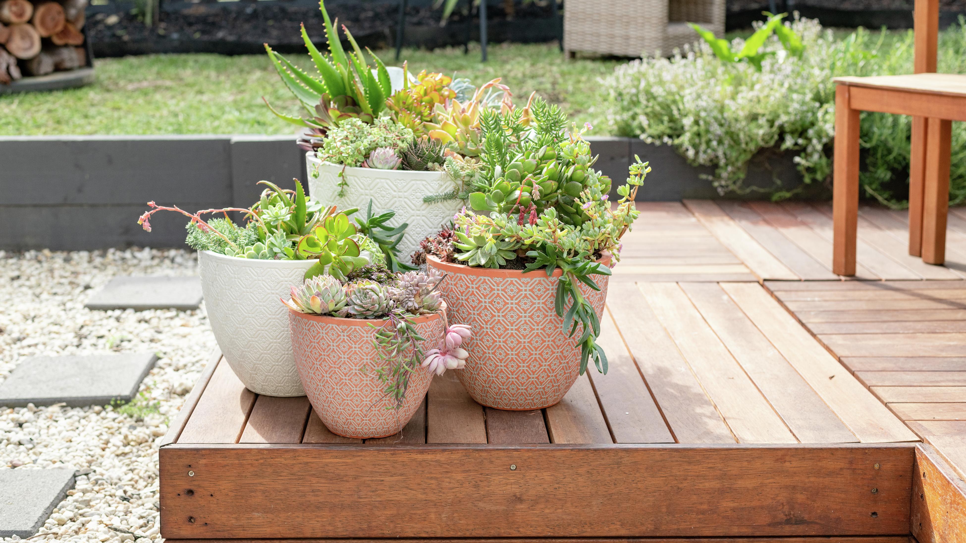 Bunnings outdoor store pots