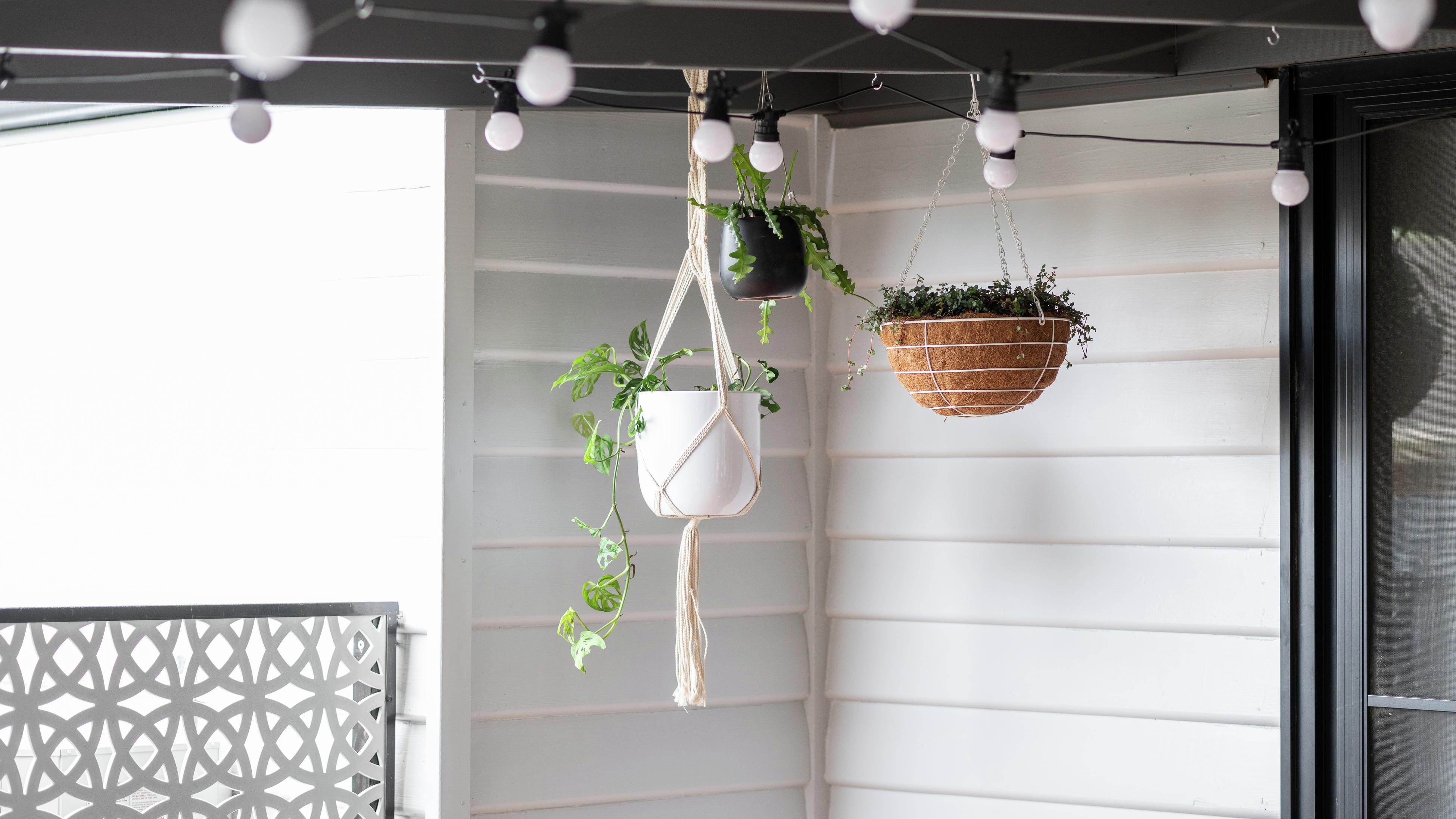 How To Create A Vertical Hanging Garden Bunnings Australia