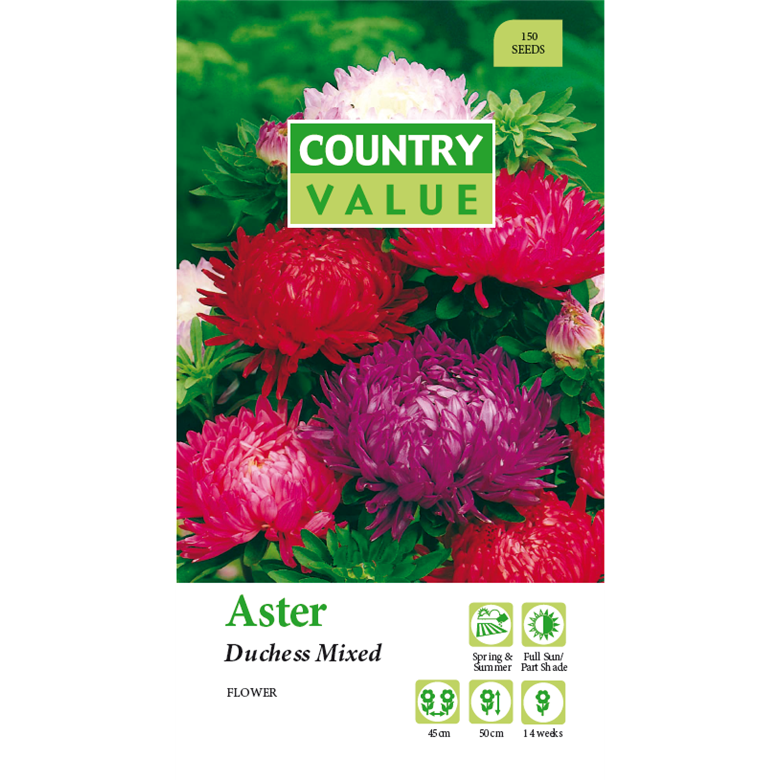 Country Value Aster Duchess Mixed Flower Seeds Bunnings Australia