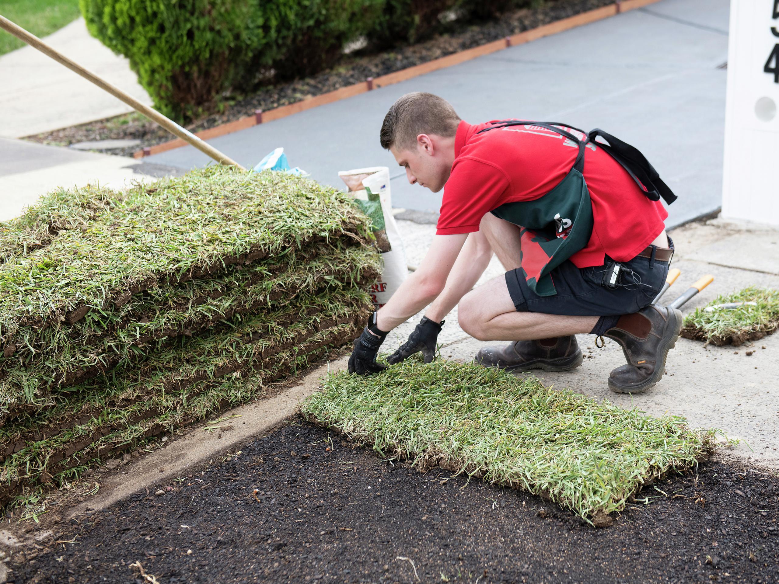 Bunnings grass store