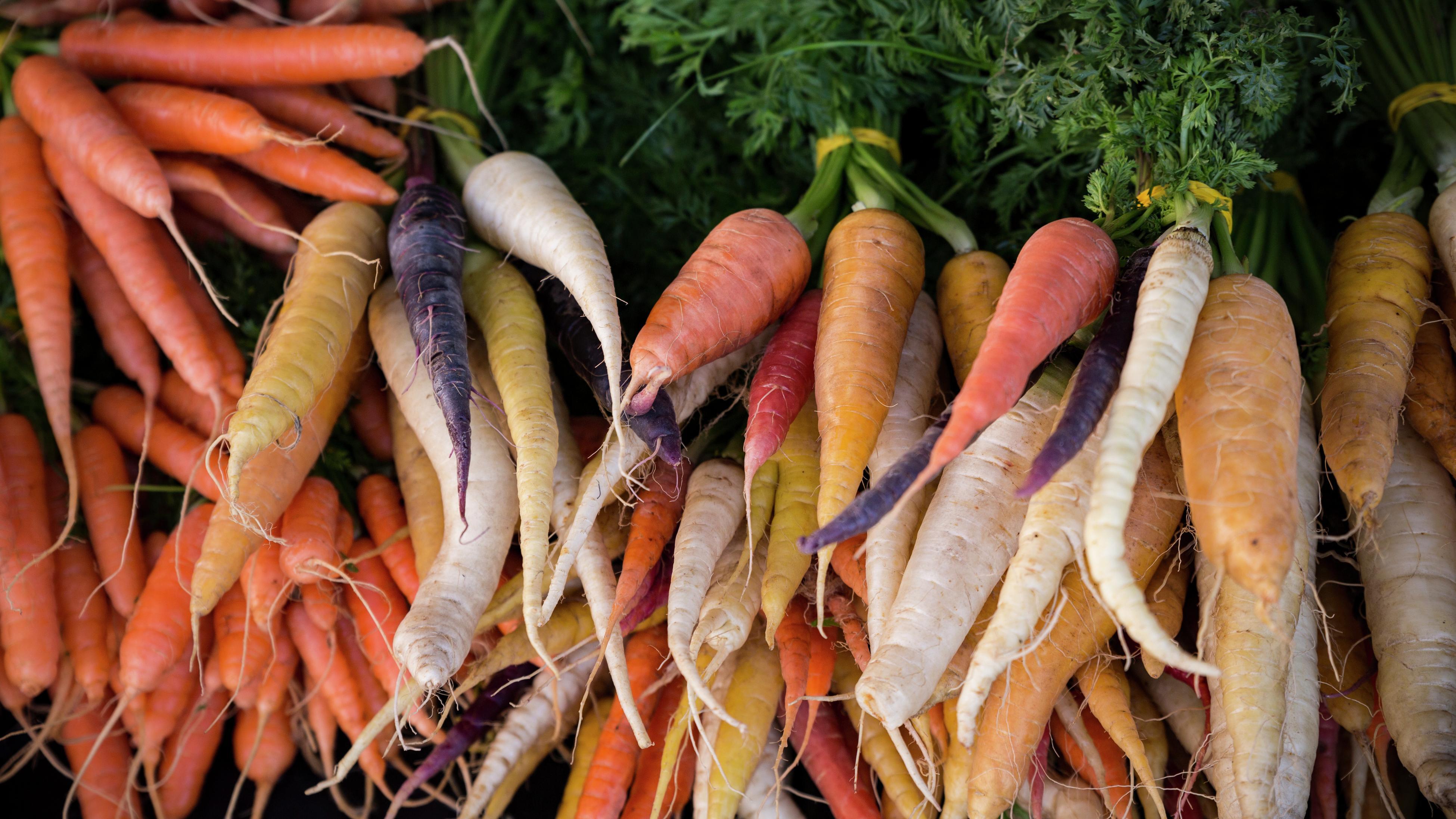 How To Grow Harvest And Store Carrots Bunnings Australia