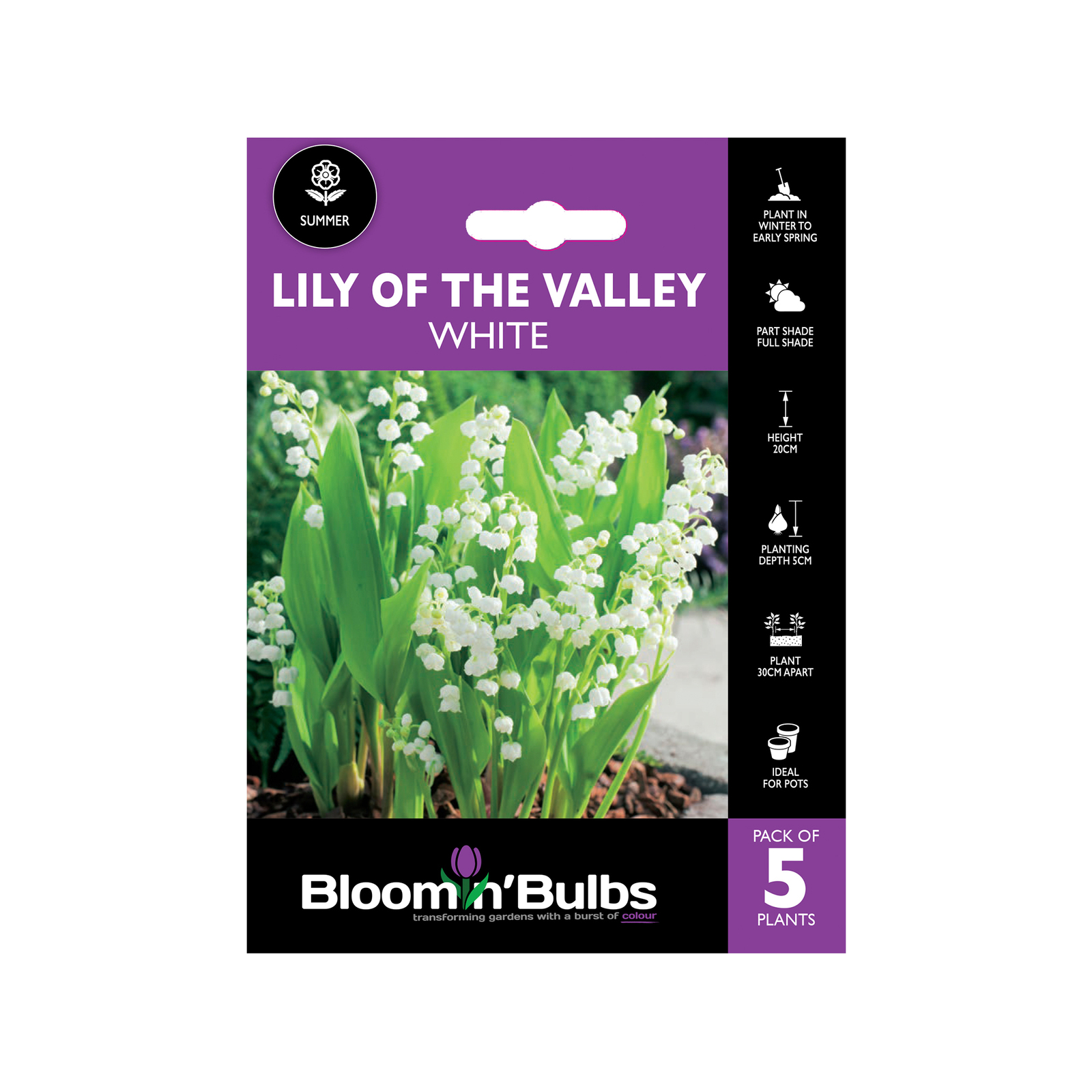 Bloomin' Bulbs Lily Of The Valley 5 Pack Bunnings Australia