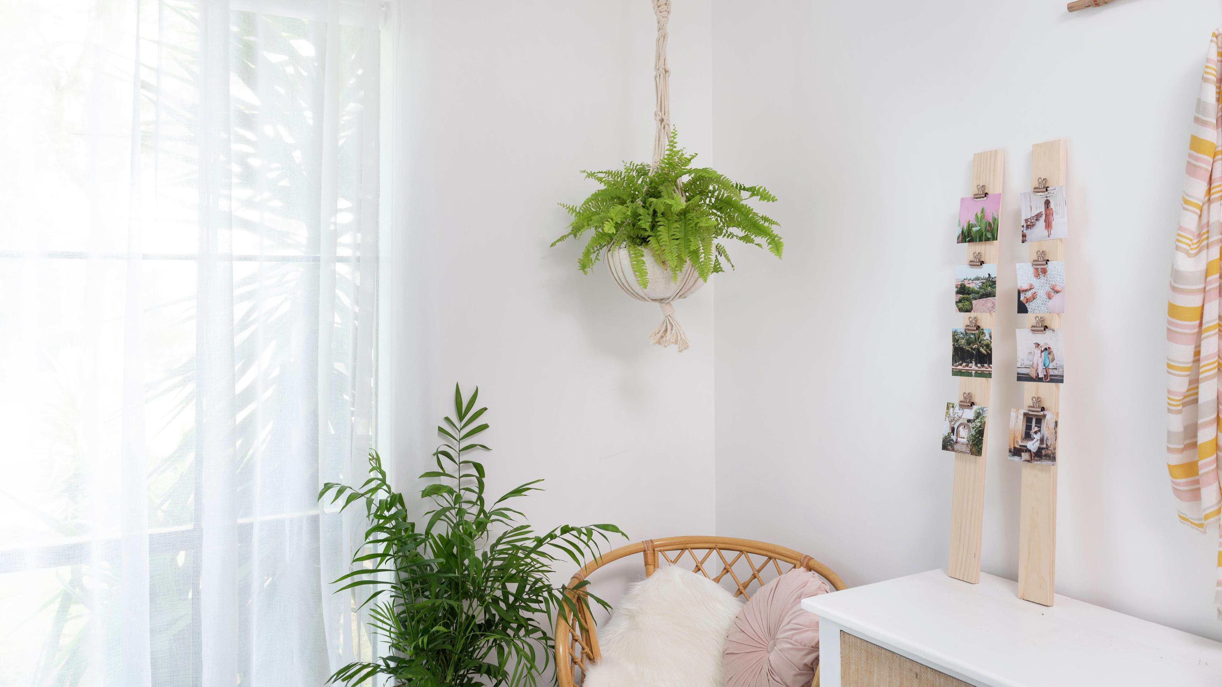 beaded curtain window hanging FROM A PERGOLA, OR A HOOK OFF A