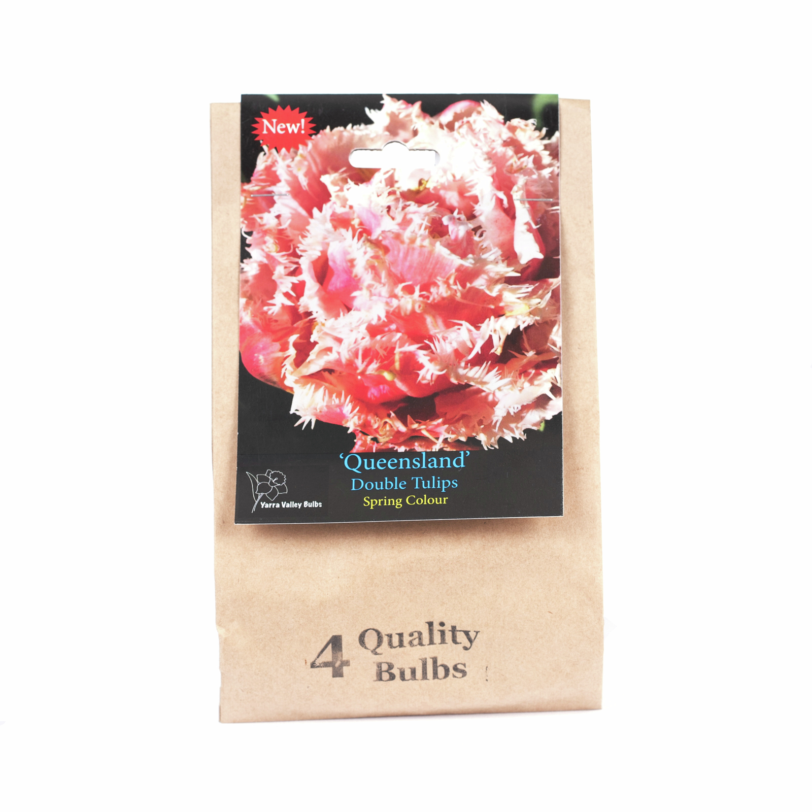 Yarra Valley Bulbs Tulip Queensland 4 Pack Bunnings Australia