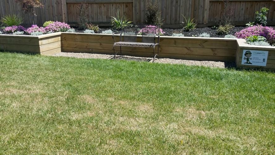 Backyard with grass grade paving installed