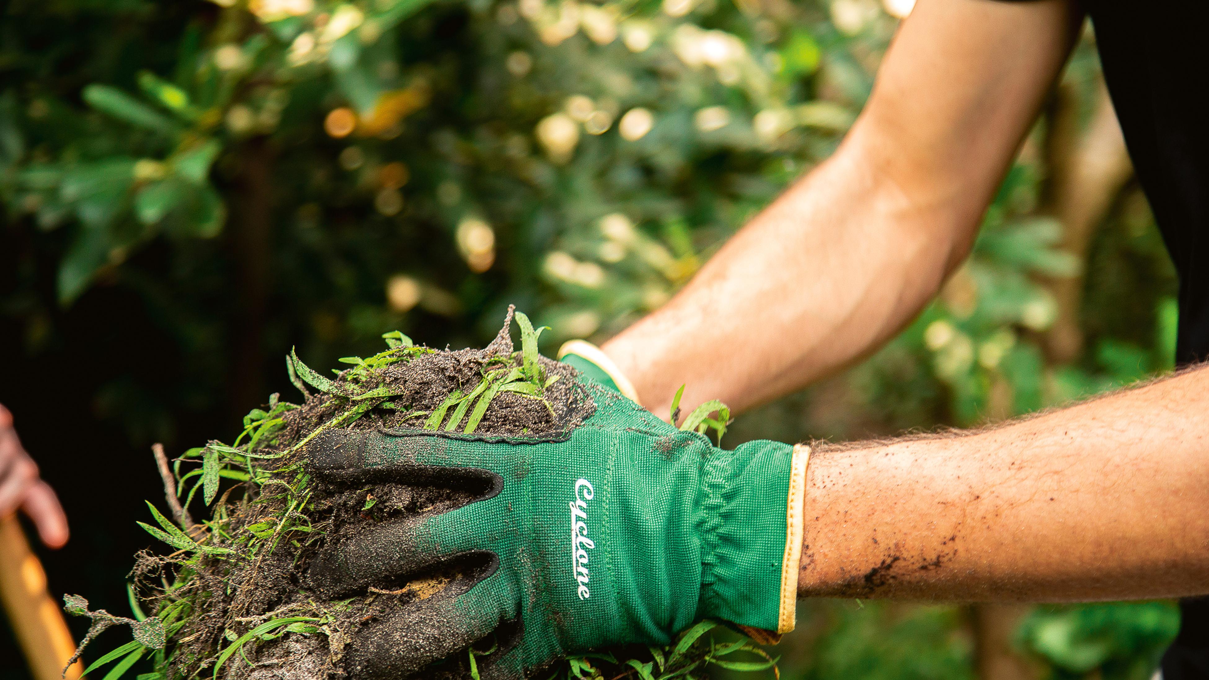A person wears garden gloves to move garden scraps