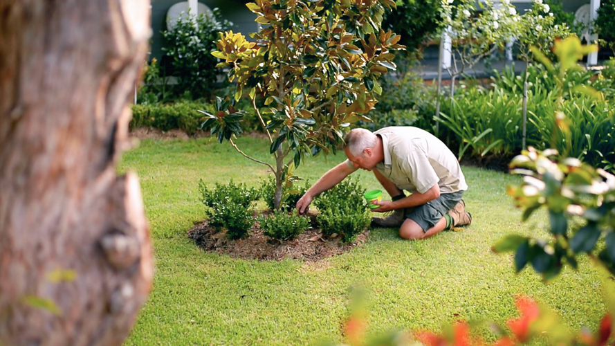 Man kneeling next to garden bed adding fertiliser to the soil
