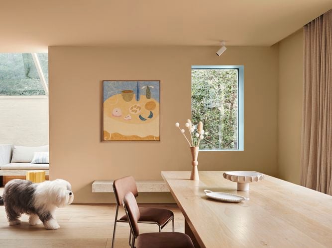 Dulux
  Colour Forecast 2024 - Solstice