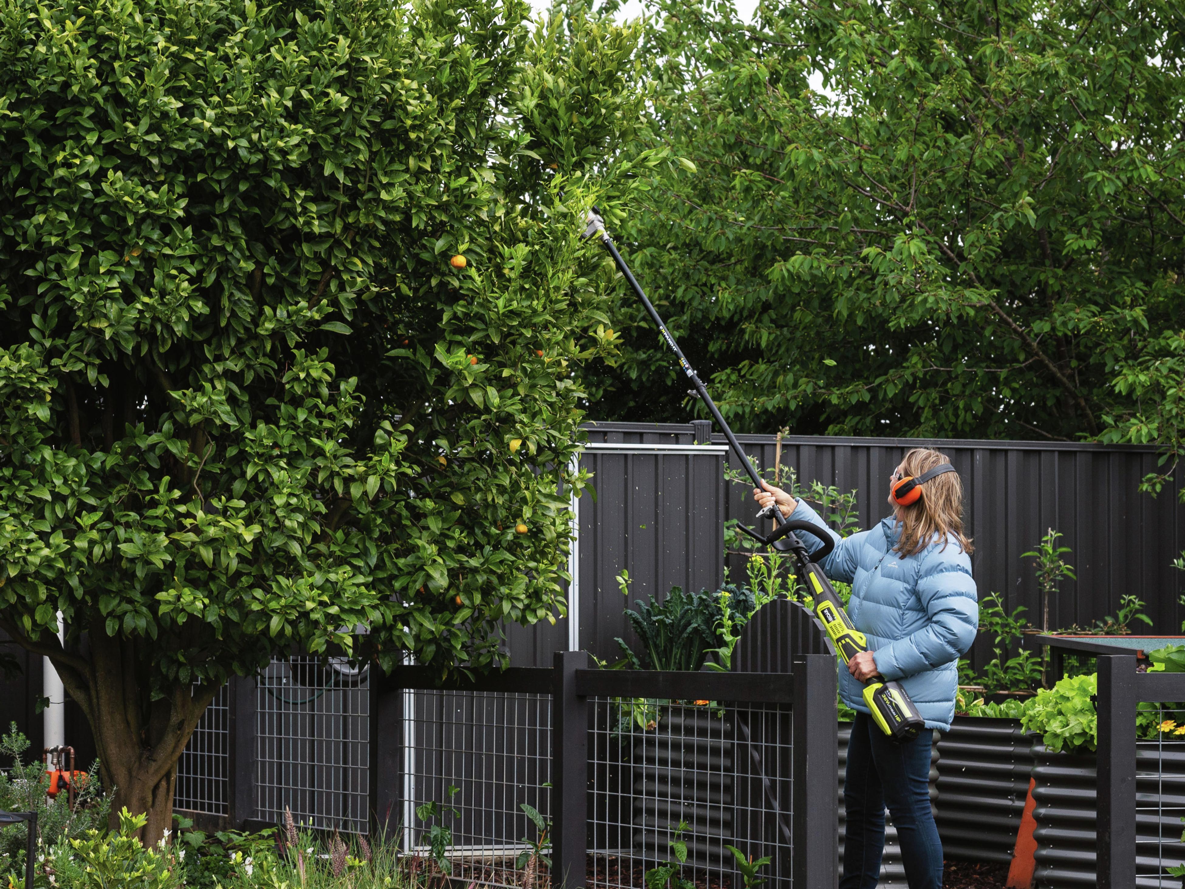 Ryobi hedge trimmer online bunnings