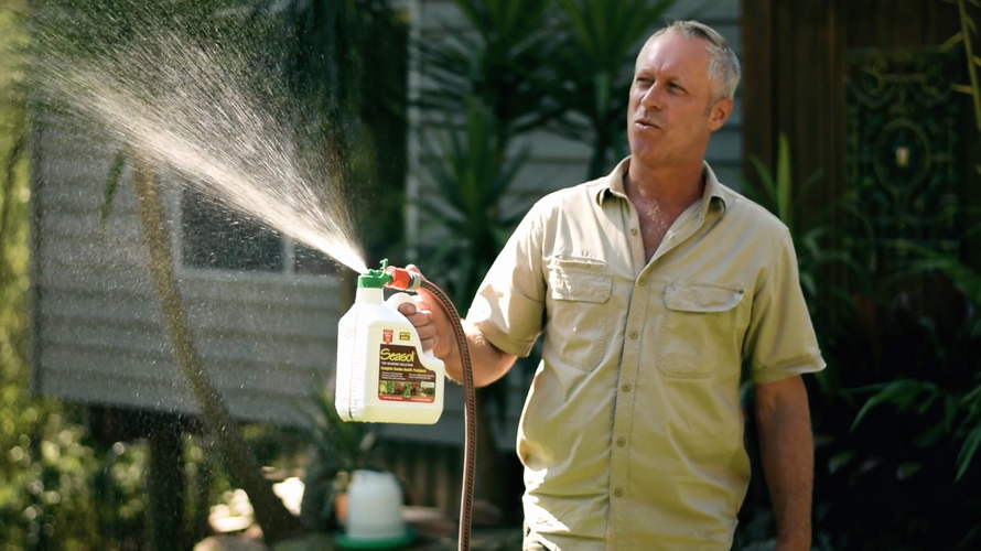 Man using fertiliser attached to garden hose to spray fertiliser over grass