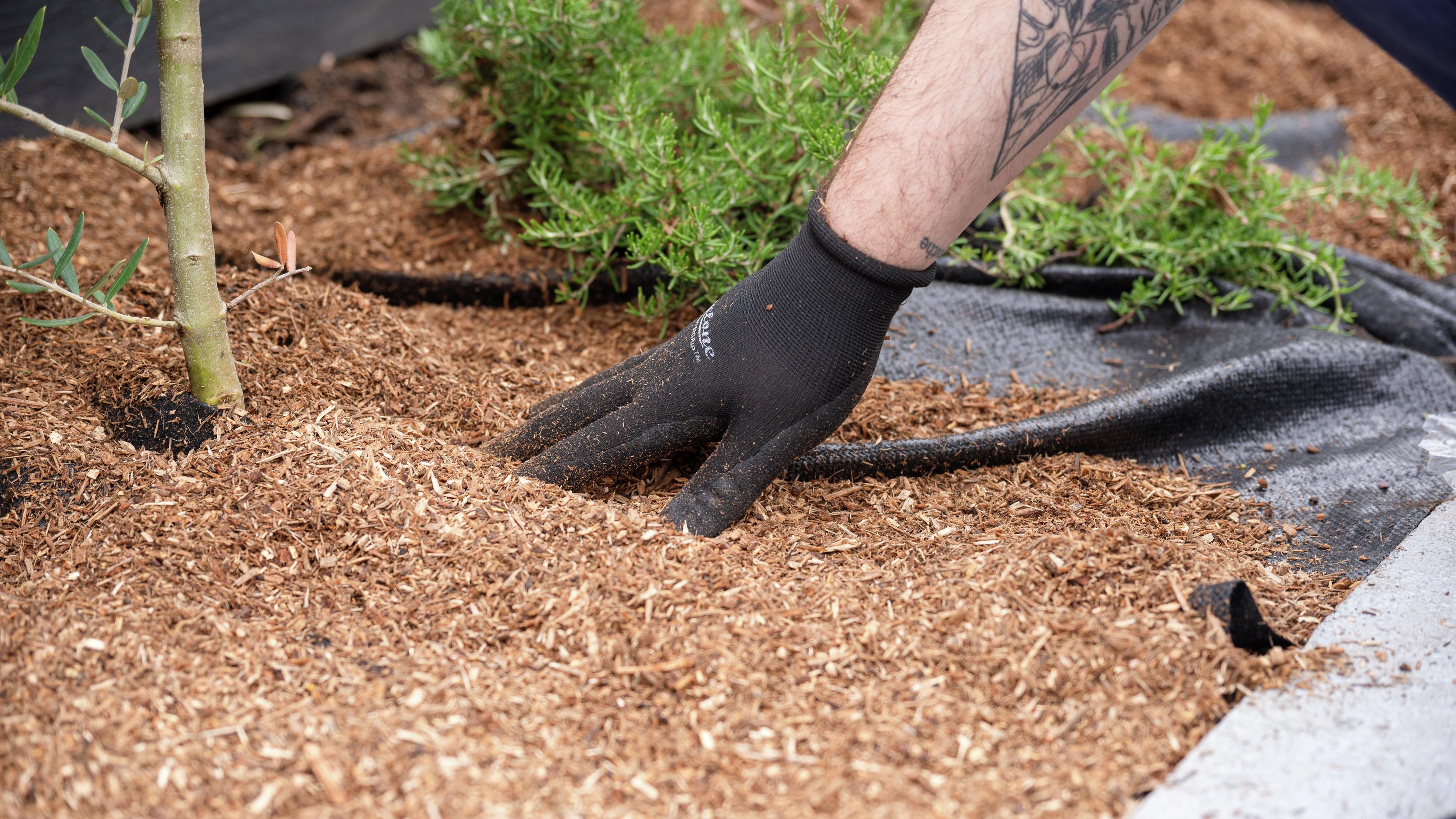 Mulch And How To Use It Bunnings Australia