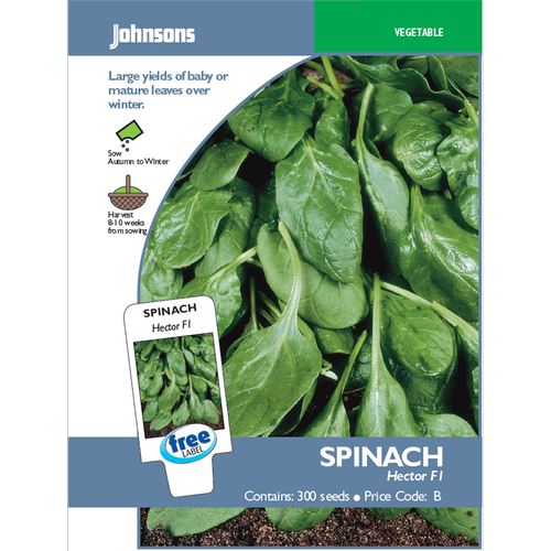 Johnsons Hector Spinach Vegetable Seeds Bunnings Australia