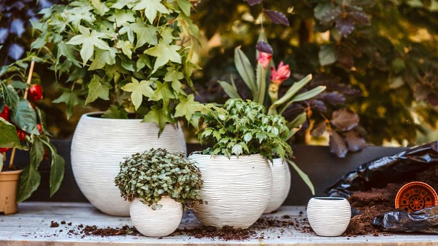 Capi Europe Indoor pot