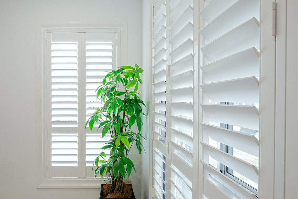 Plantation shutters deals bunnings