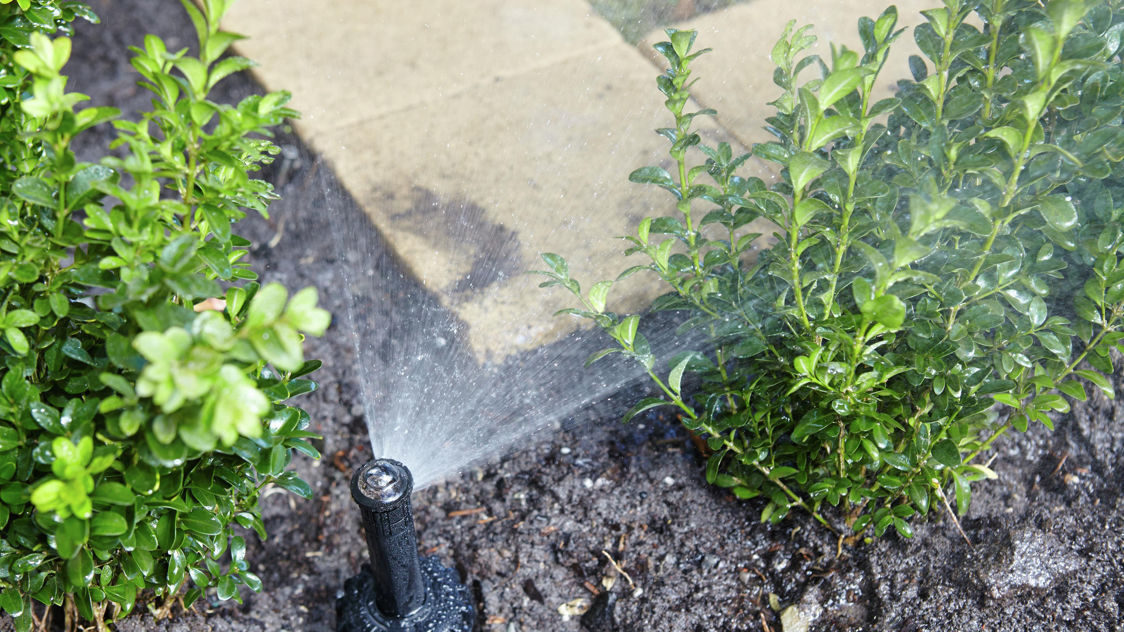 Watering & Irrigation Bunnings New Zealand