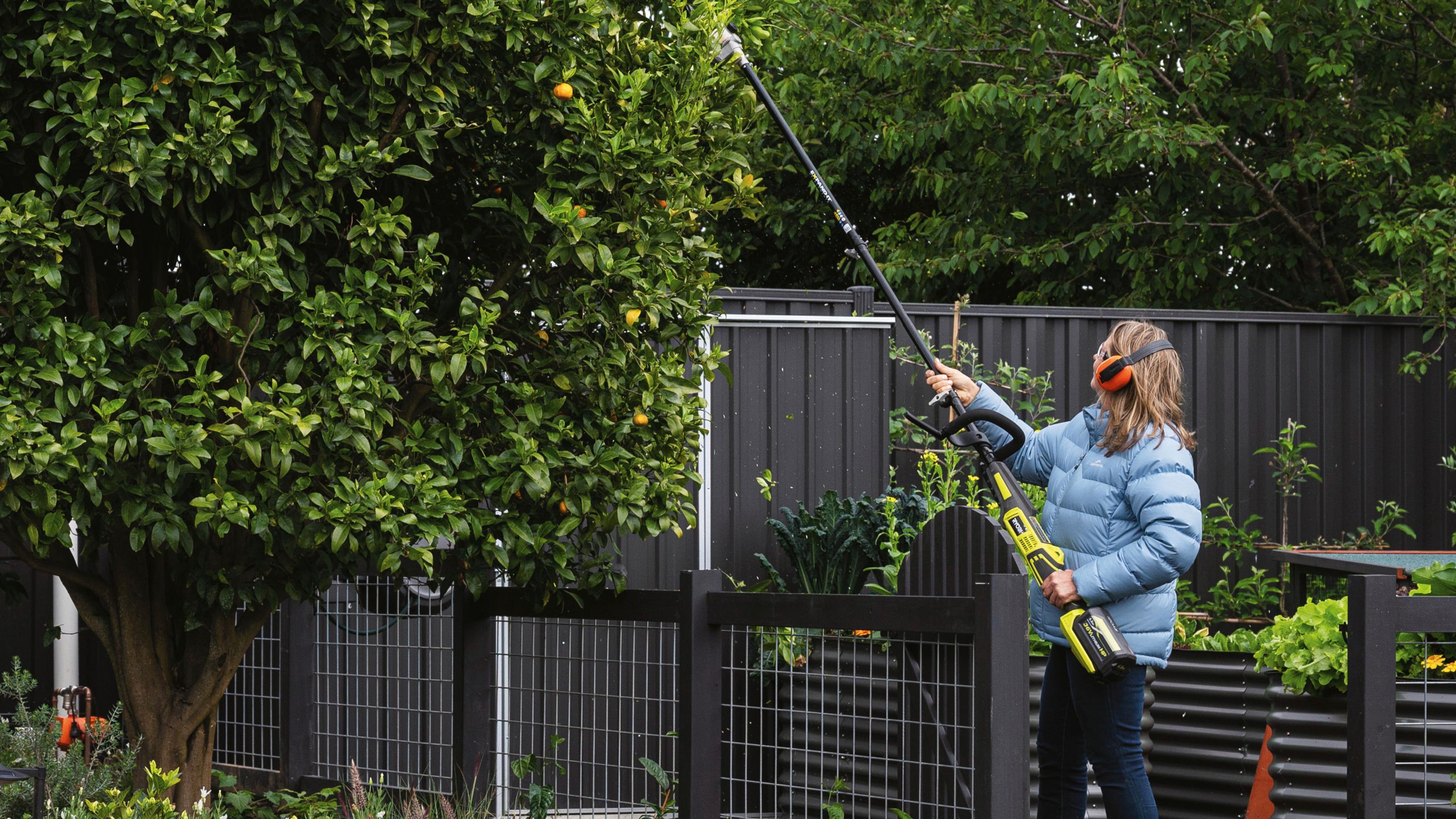 Prune Trees Safely With Ryobi Bunnings Australia