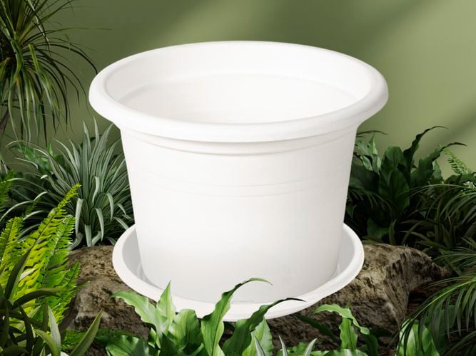 White pot on a rock with plants around it