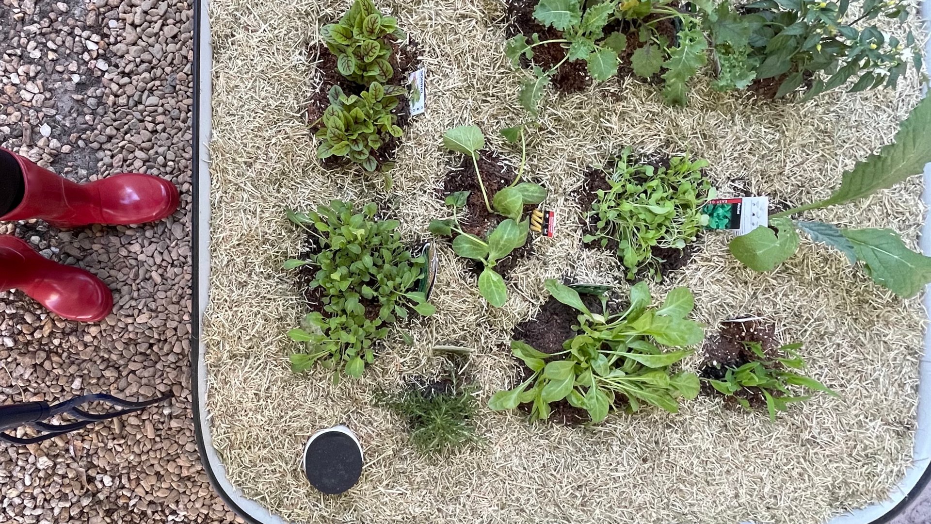 How To Build A Wicking Bed Bunnings Australia