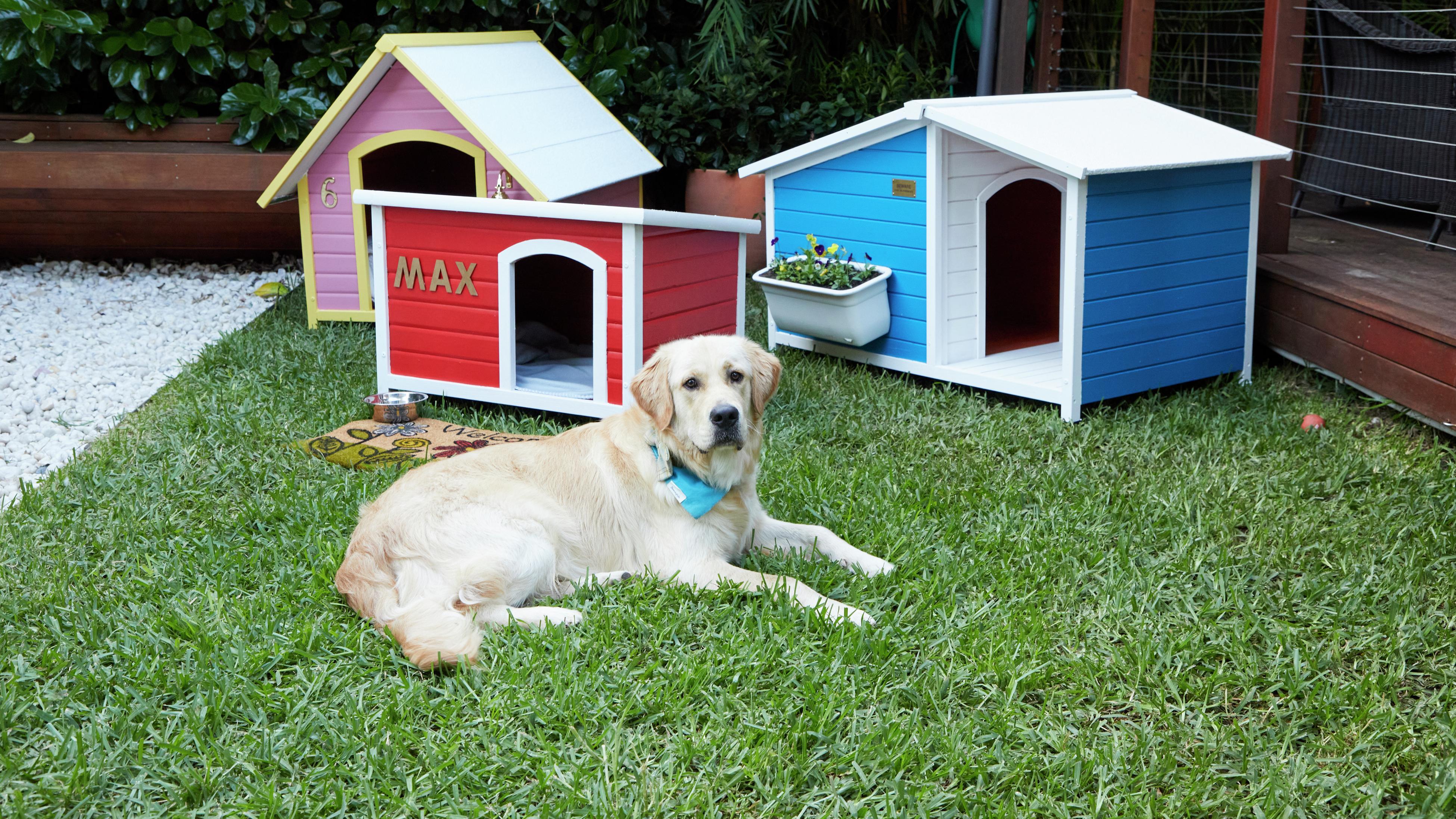 Bunnings kennel shop