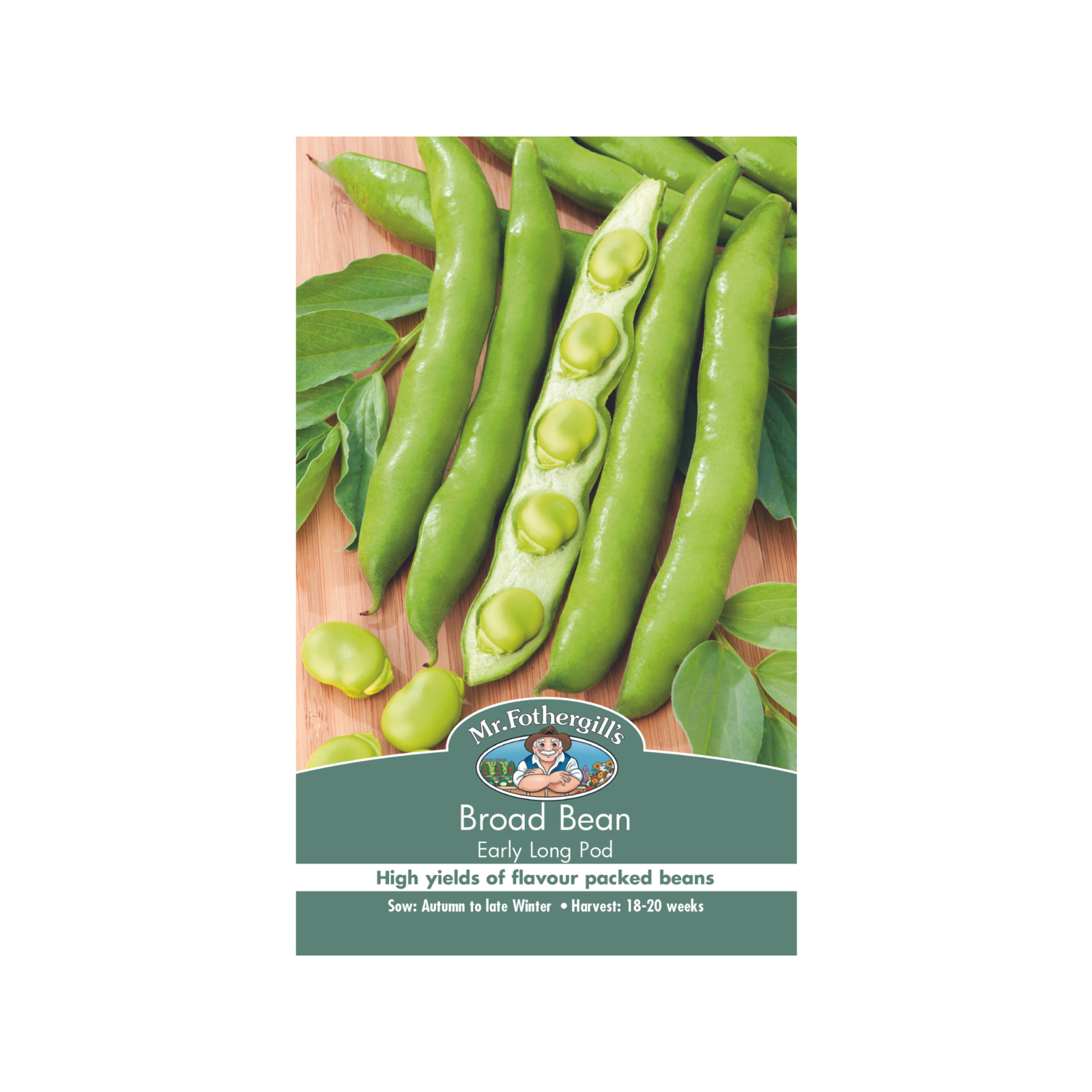 Mr Fothergill's Early Long Pod Broad Bean Vegetable Seeds Bunnings