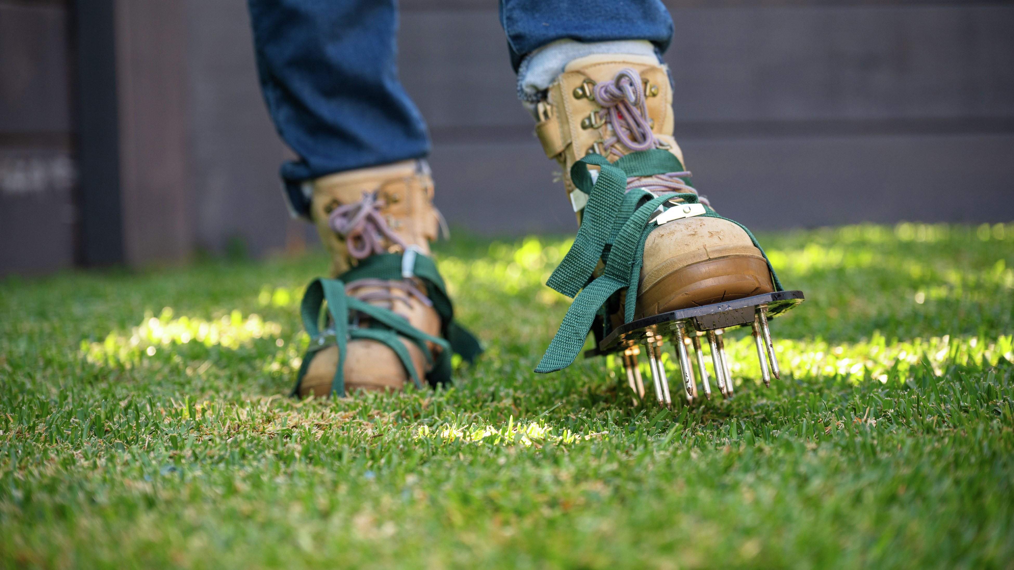 Lawn deals aerator bunnings