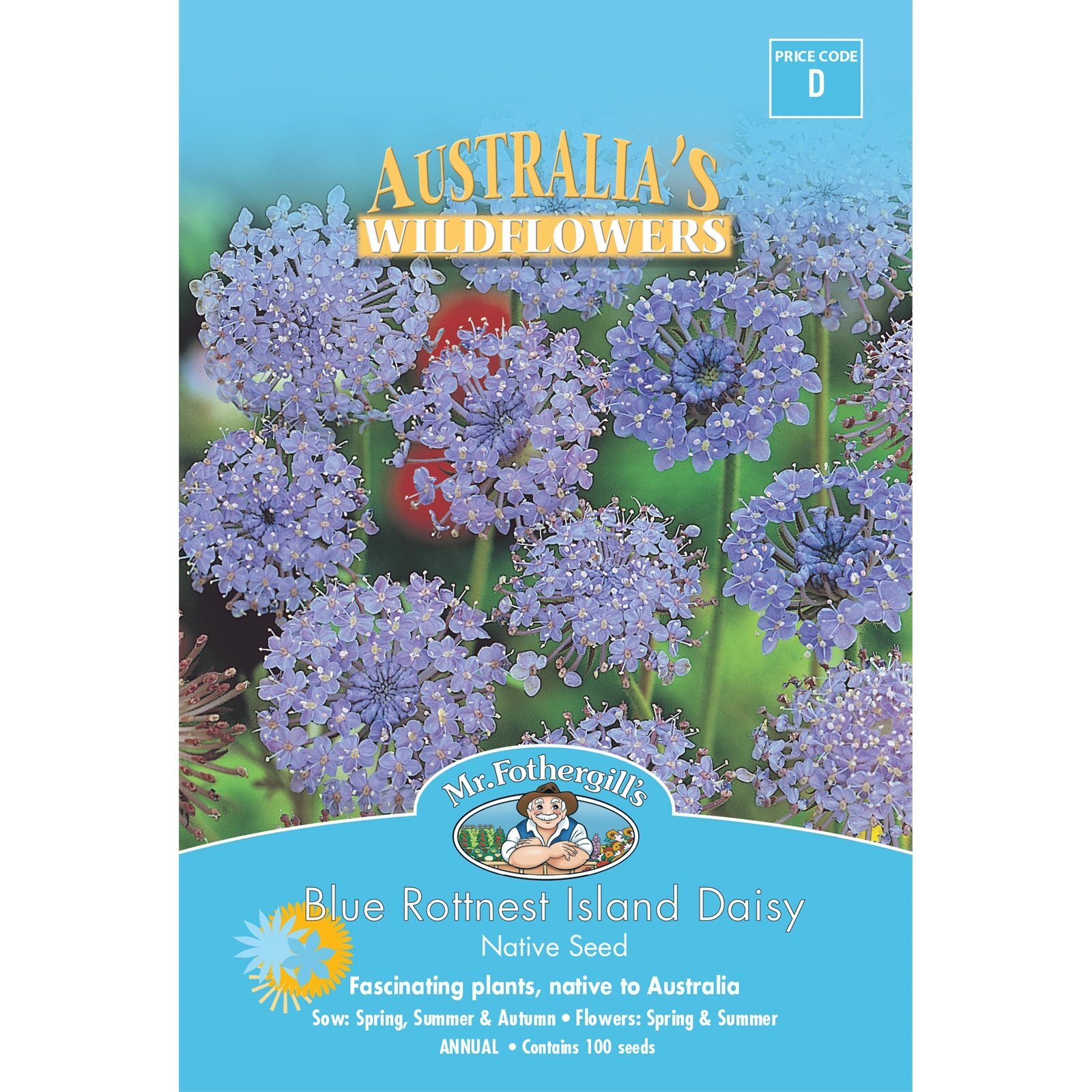 Mr Fothergill's Blue Rottnest Island Daisy Flower Seeds Bunnings