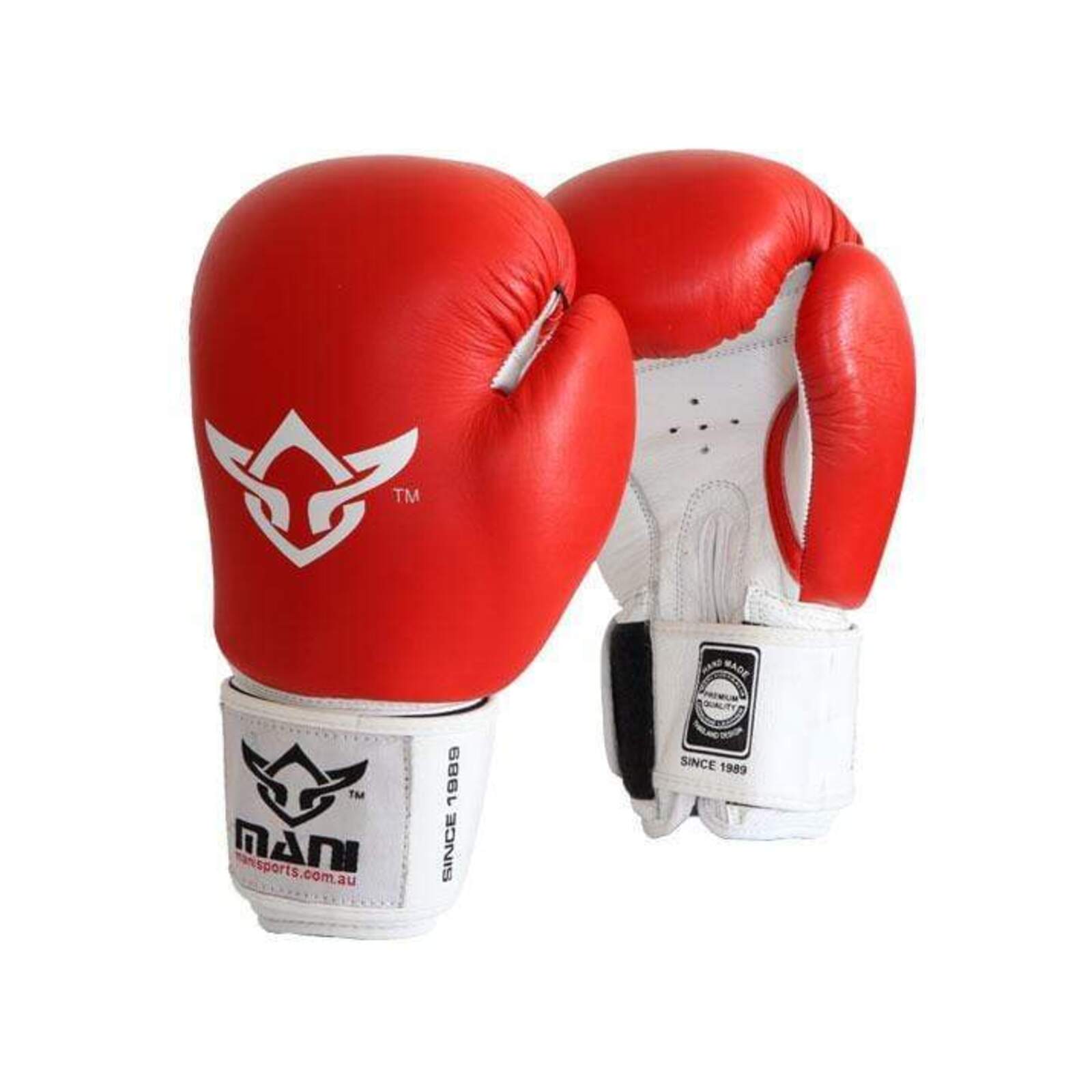 Leather ProSparring Boxing Gloves 12oz Bunnings Australia