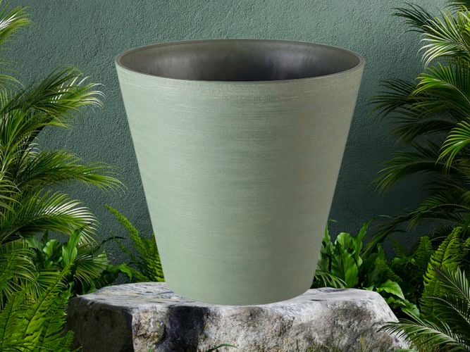 Olive pot sitting on a rock with plants around it