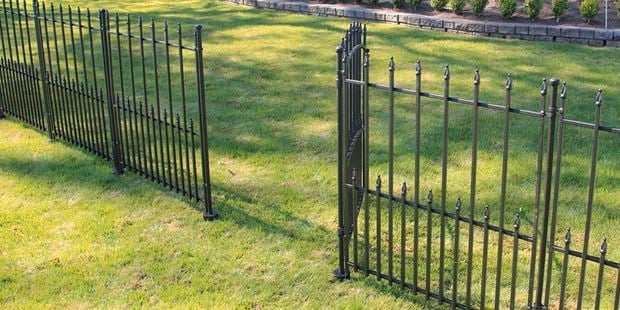 Black steel fence on green grass