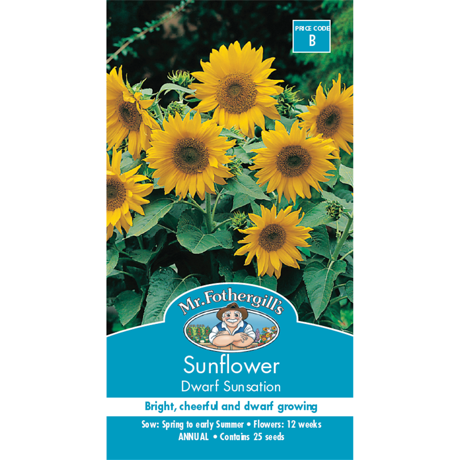 Mr Fothergill's Sunflower Dwarf Sunsation Flower Seeds Bunnings Australia