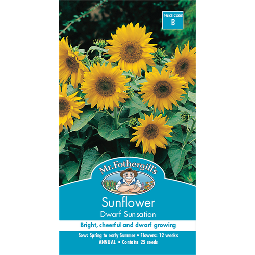 Mr Fothergill's Sunflower Dwarf Sunsation Flower Seeds Bunnings Australia