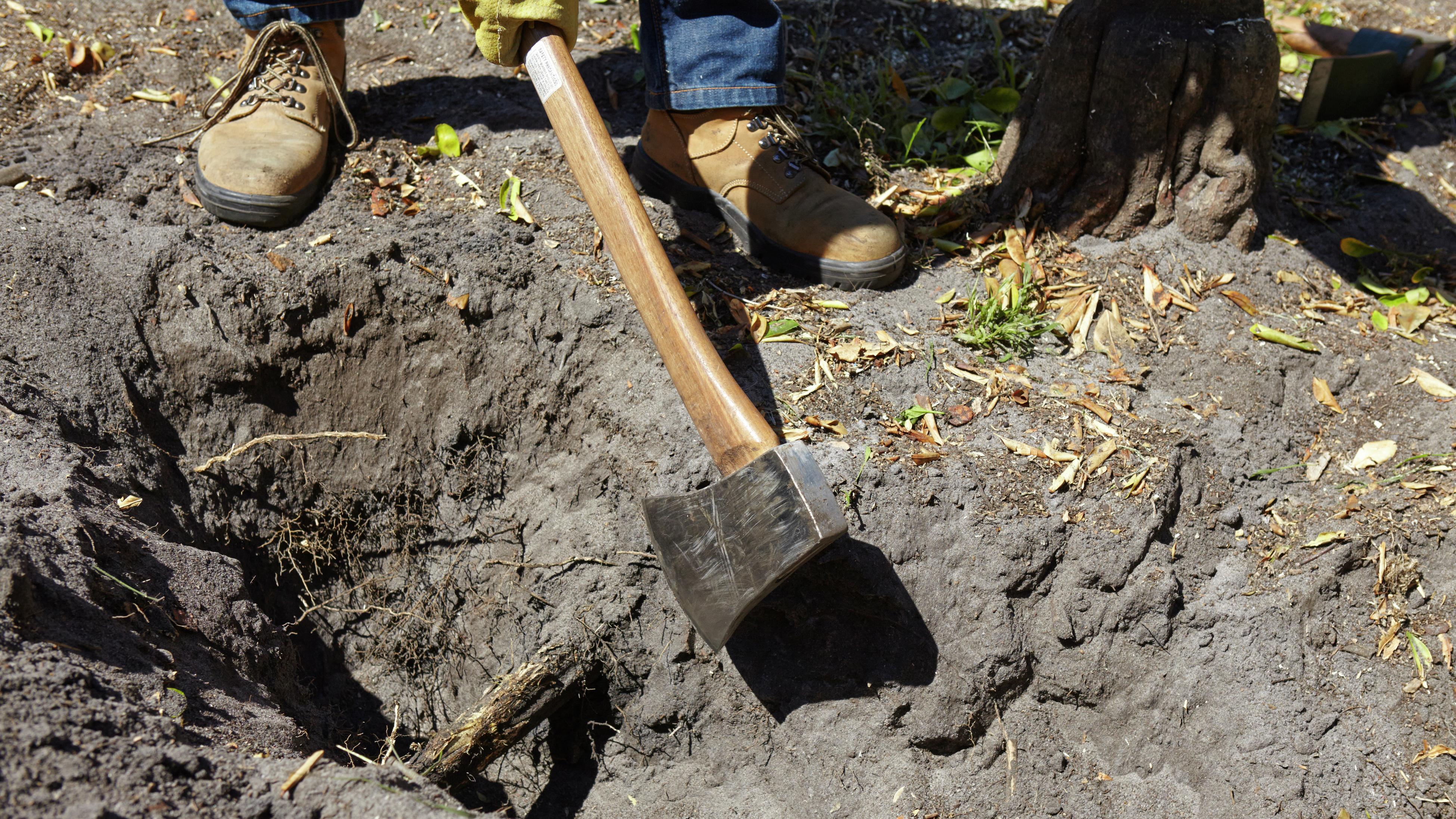 How to Dig up Tree Roots: 12 Steps (with Pictures) - wikiHow