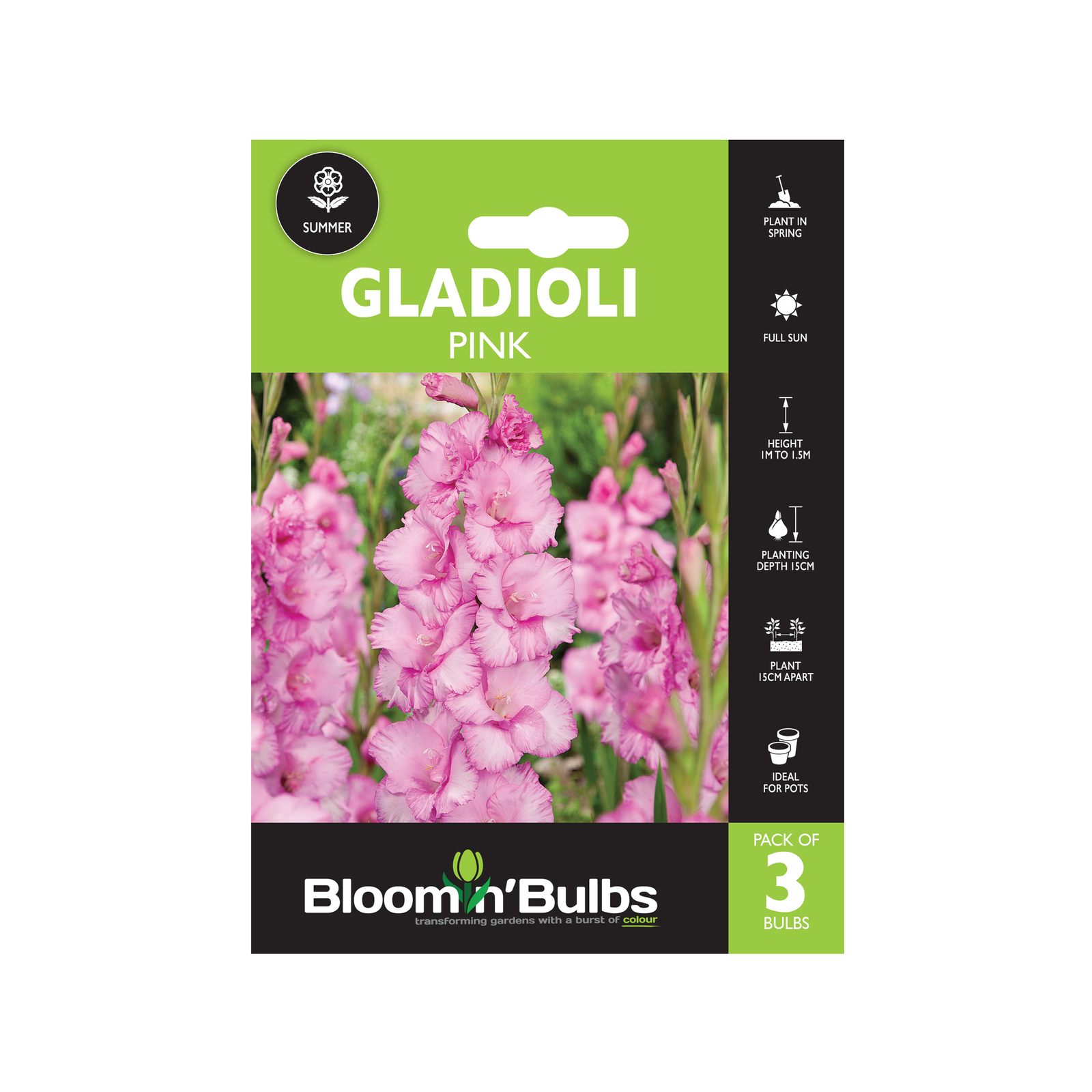 Bloomin' Bulbs Gladioli Pink Bulbs 3 Pack Bunnings Australia