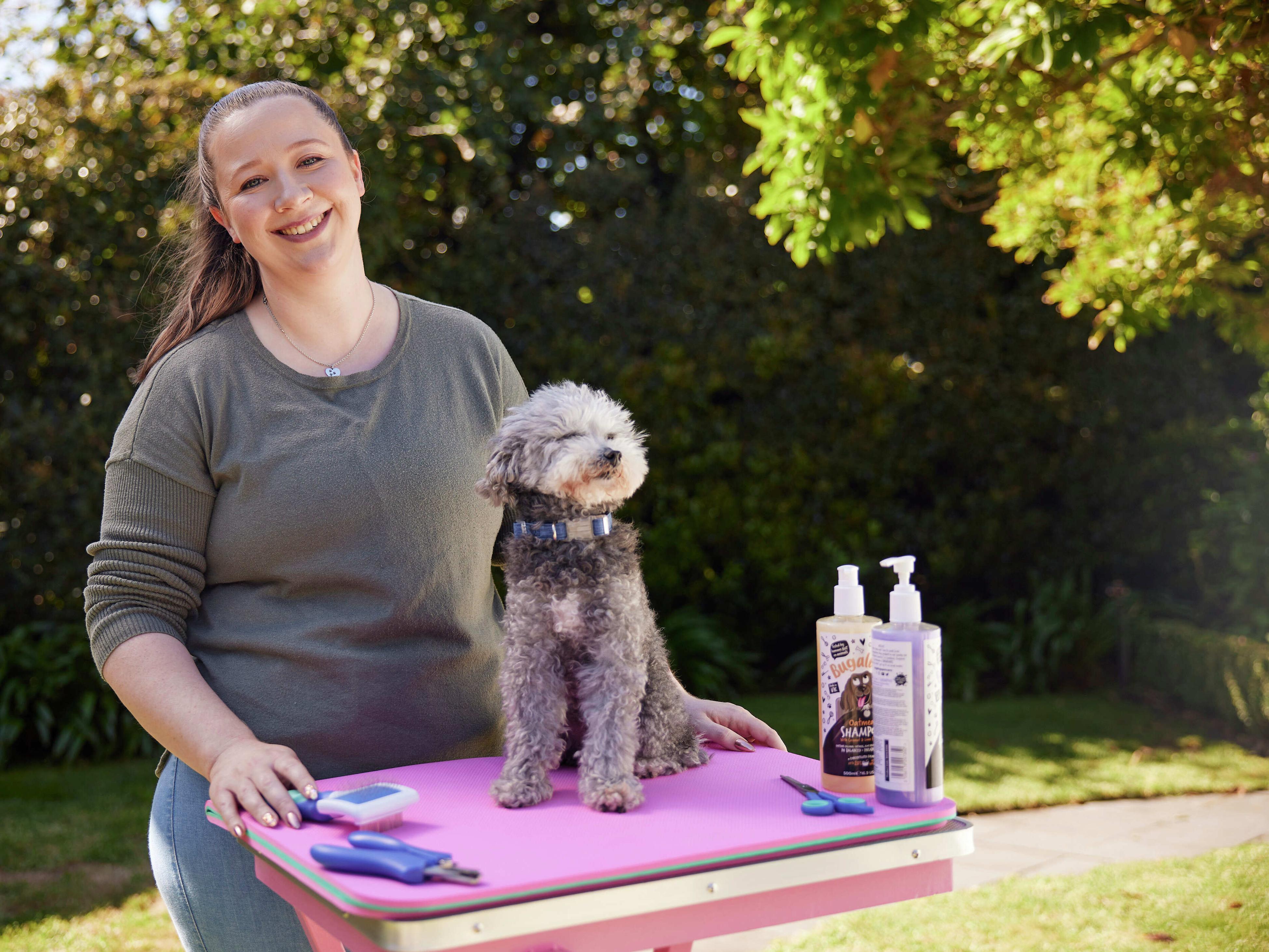 Pet store clippers bunnings