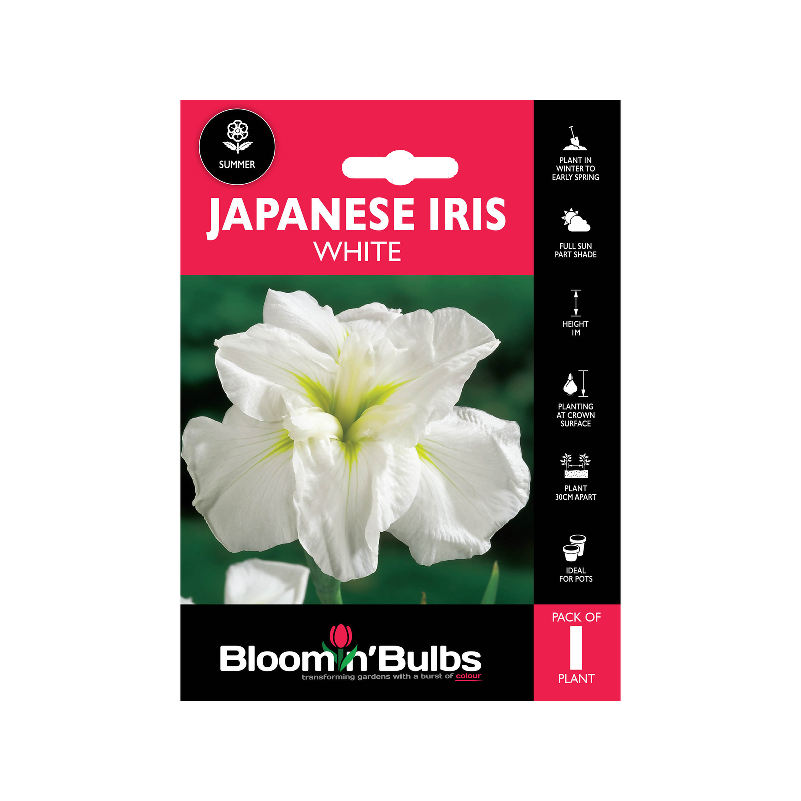 Bloomin Bulbs White Japanese Iris 1 Pack Bunnings Australia