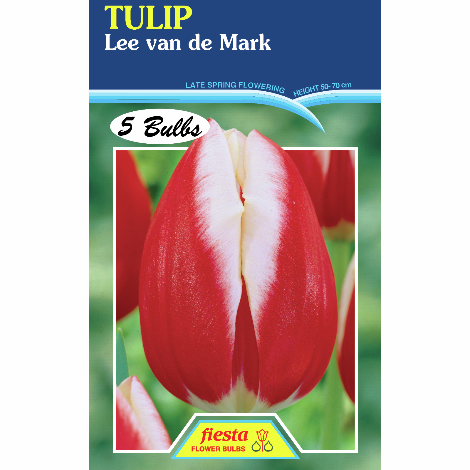 Fiesta Flower Bulbs Tulip Lee Van De Mark 5 Bulbs Bunnings New Zealand