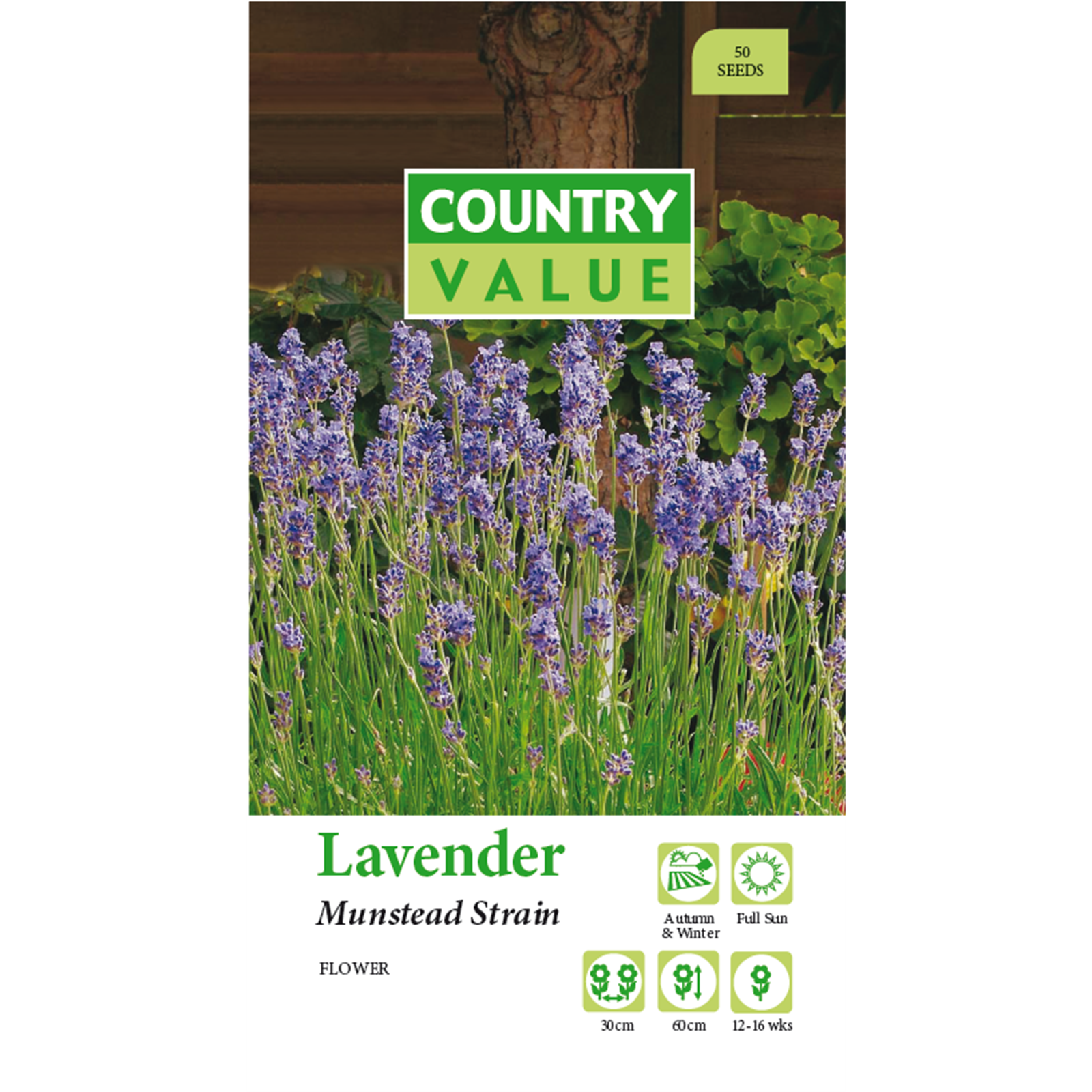 Country Value Lavendar Munstead Flower Seeds Bunnings Australia
