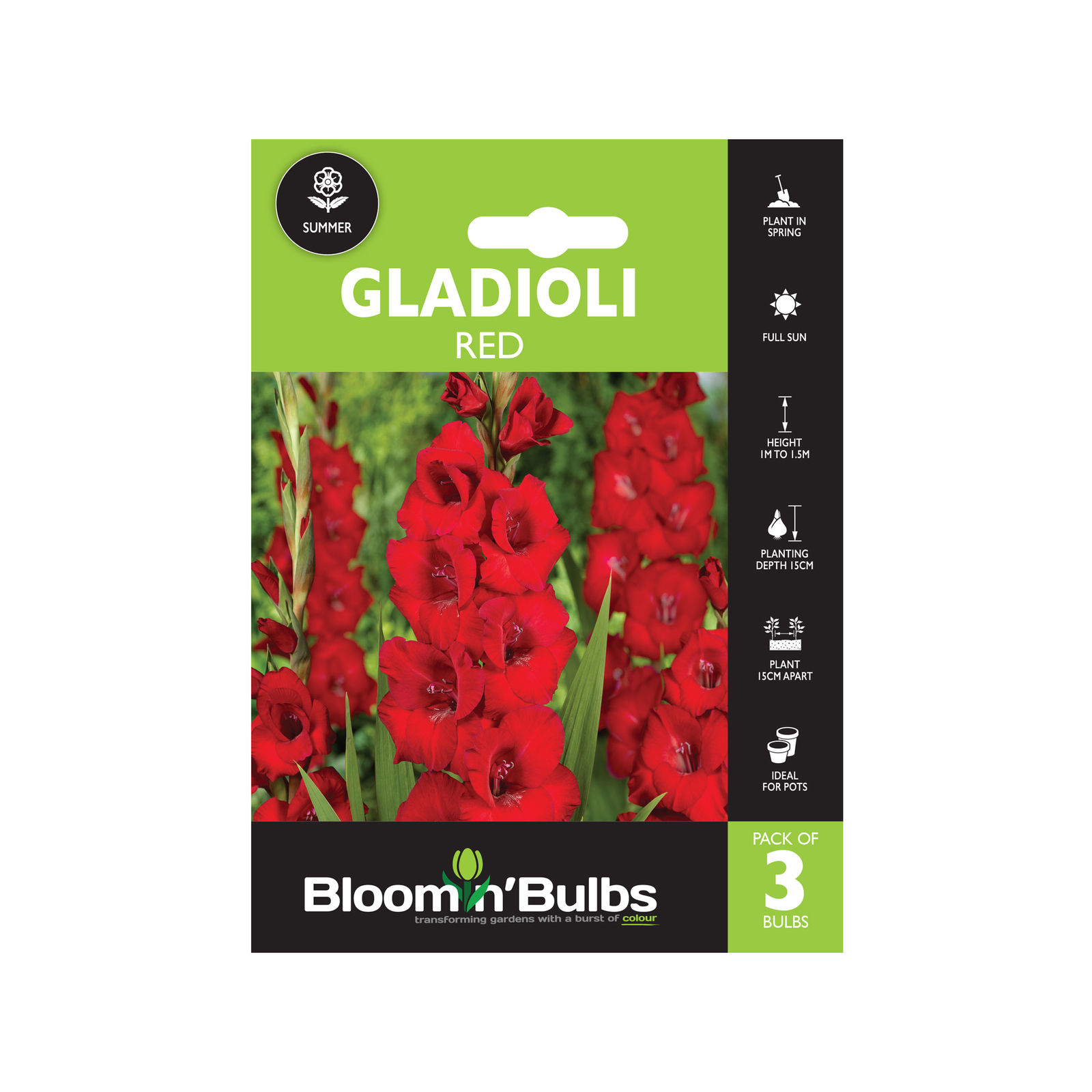 Bloomin' Bulbs Gladioli Red Bulbs 3 Pack Bunnings Australia