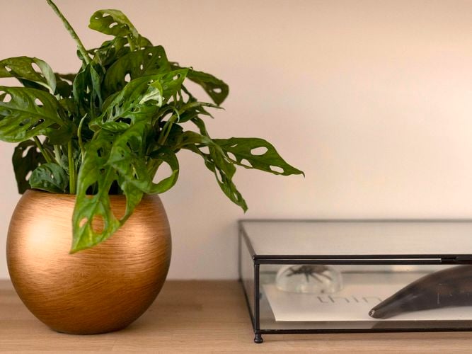 Capi Europe Indoor Pot Retro 0266744
