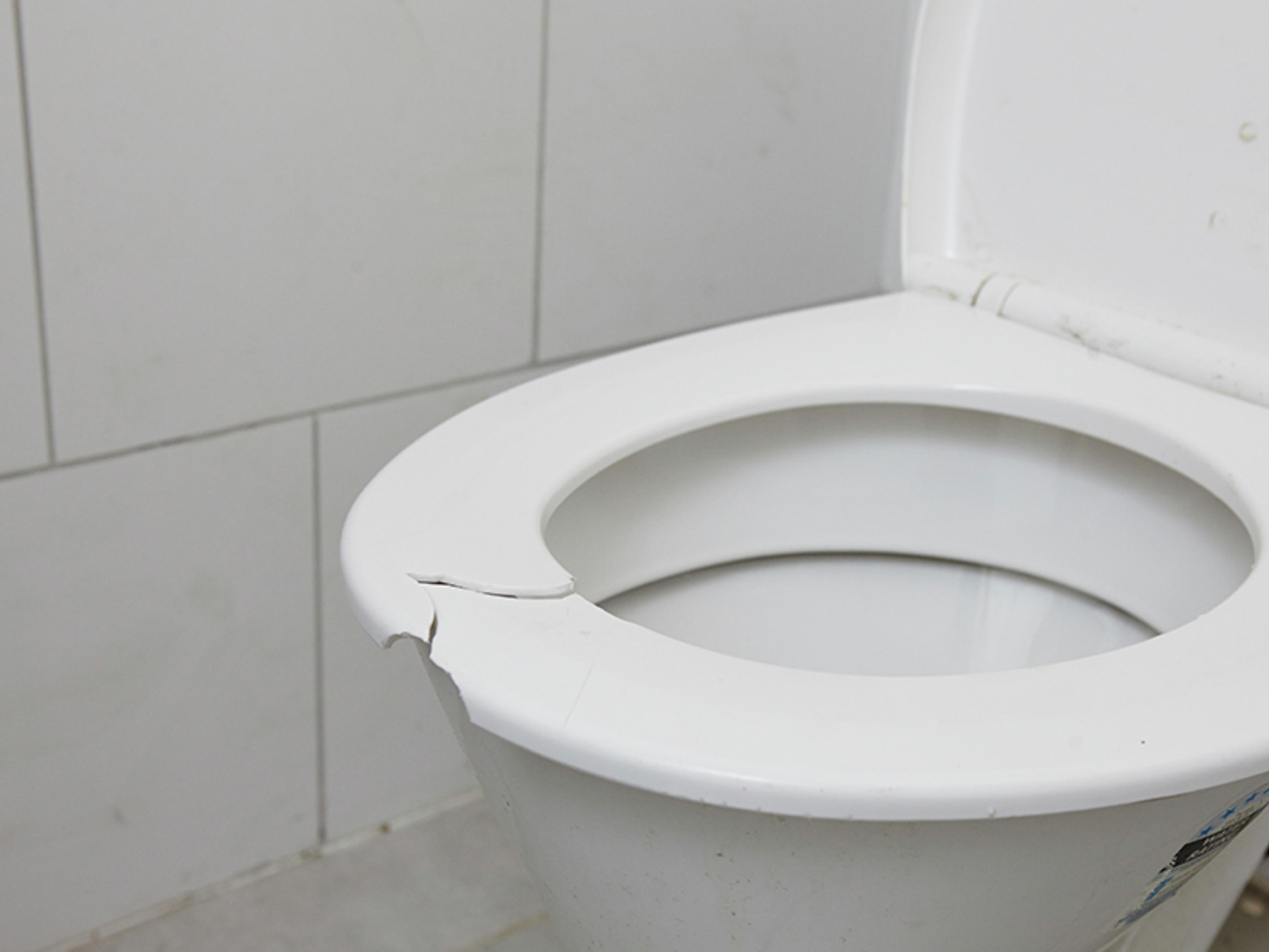 How to Replace a Toilet Seat