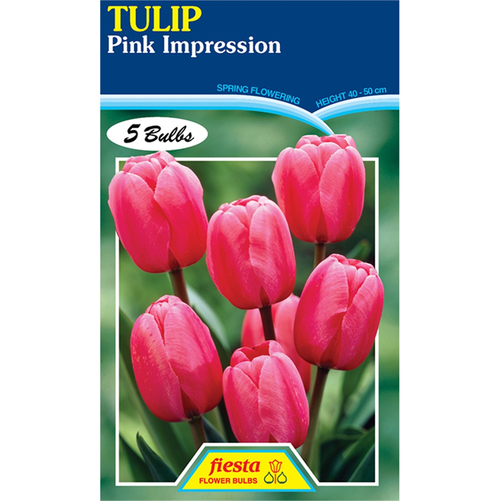 Tulip Pink Impression 5 Bulbs Bunnings New Zealand