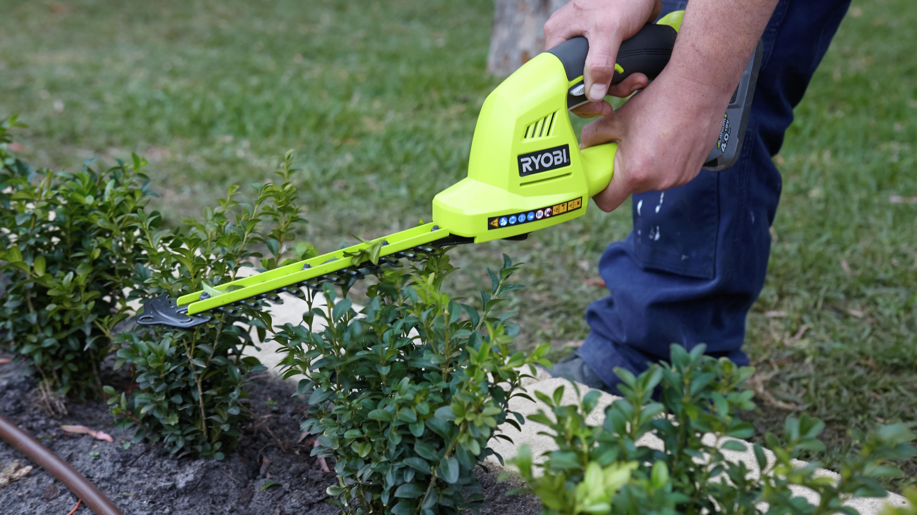 Best hedge deals trimmer bunnings