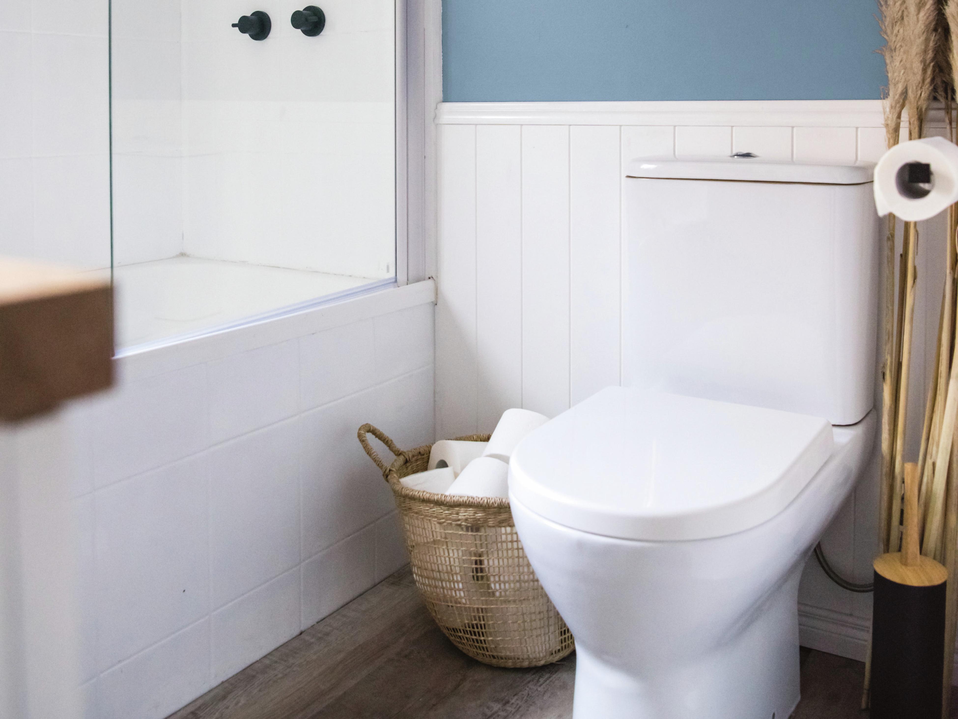 Toilet Seat Buying Guide: How to Find the Best For You