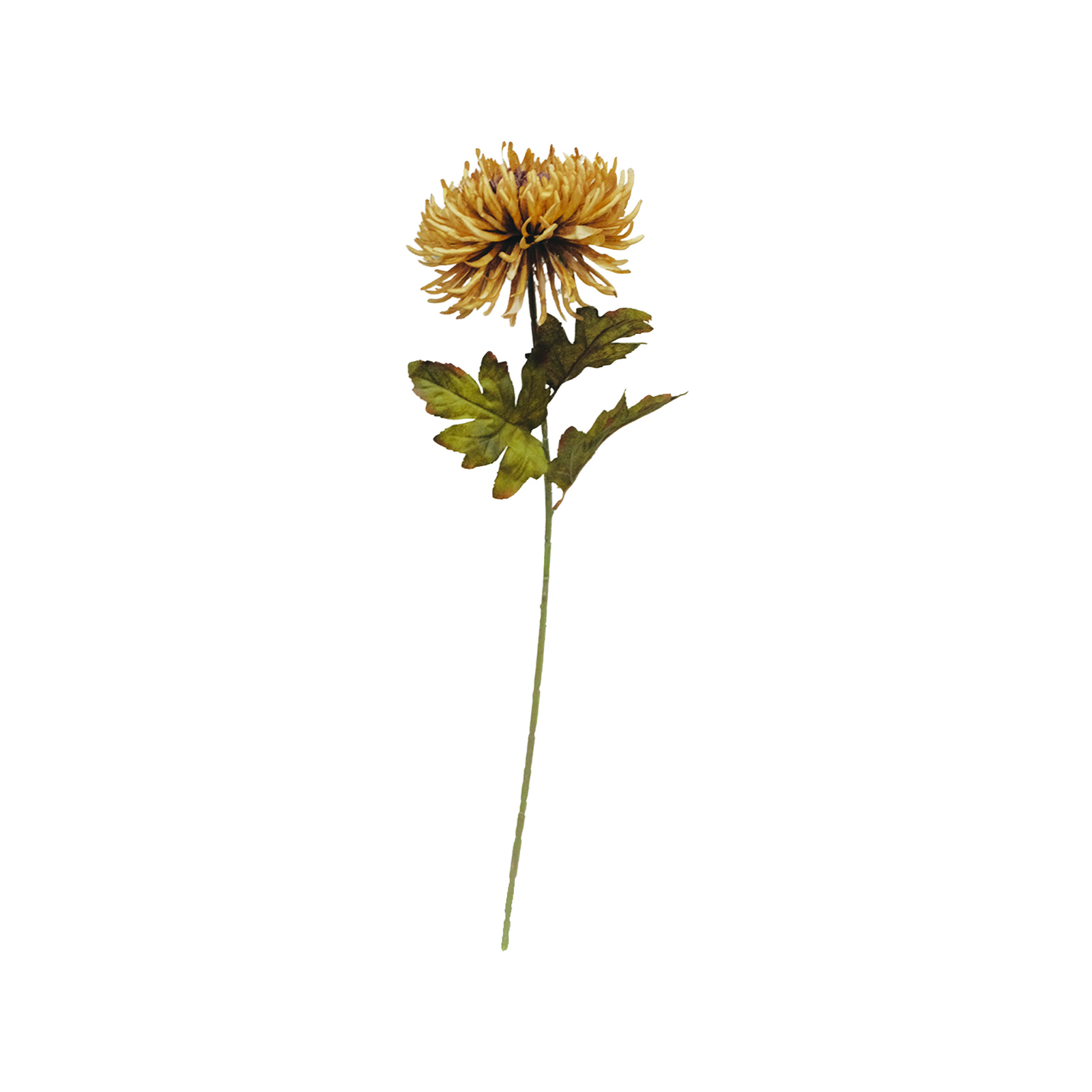 75cm Gold Chrysanthemum Artificial Dried Flowers Bunnings Australia