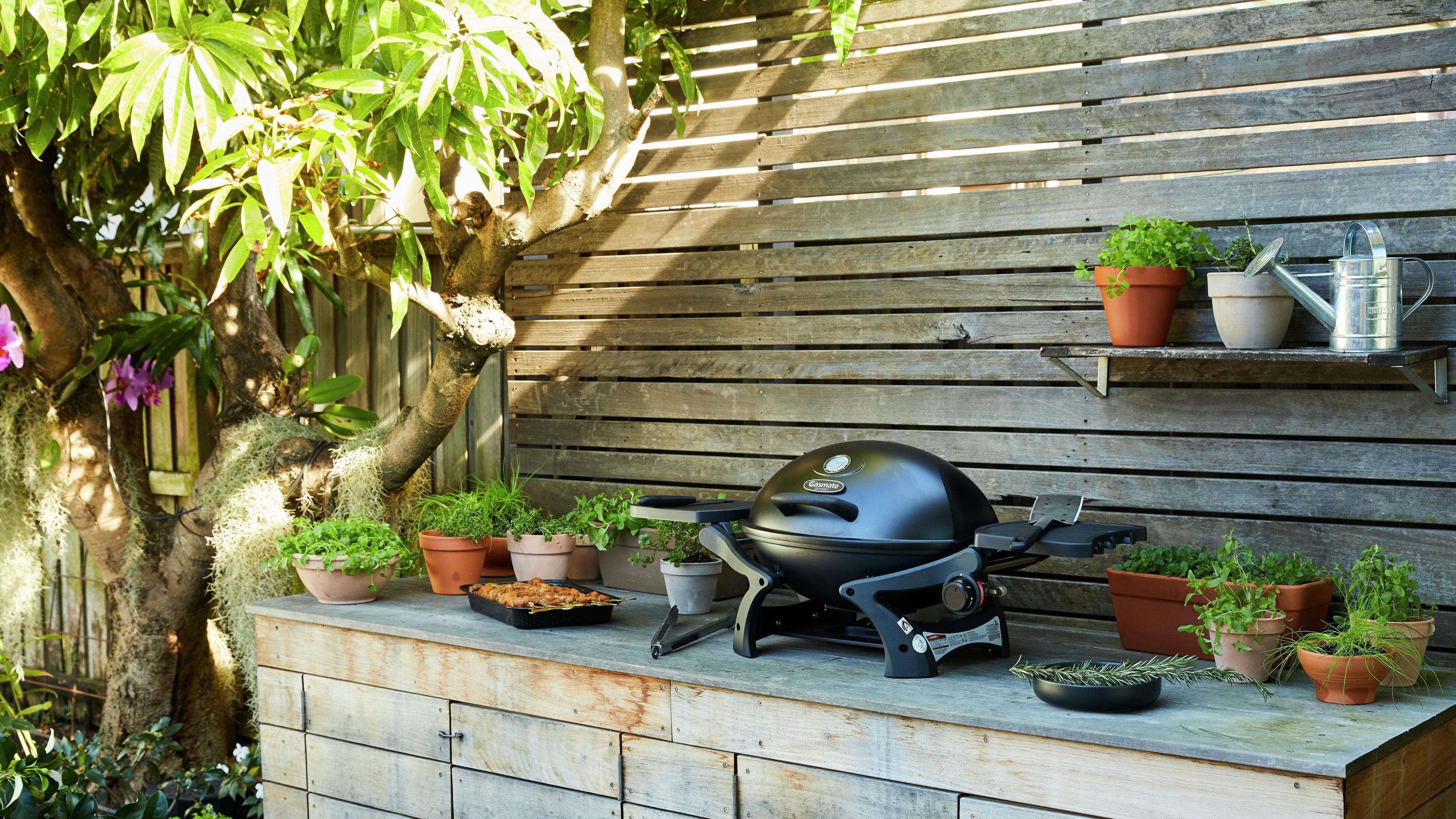 Bbq for sale clearance bunnings