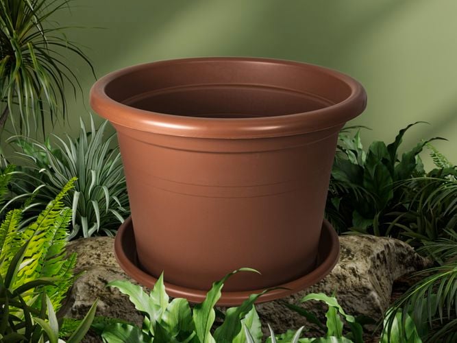 Terracotta pot on a rock with plants around it
