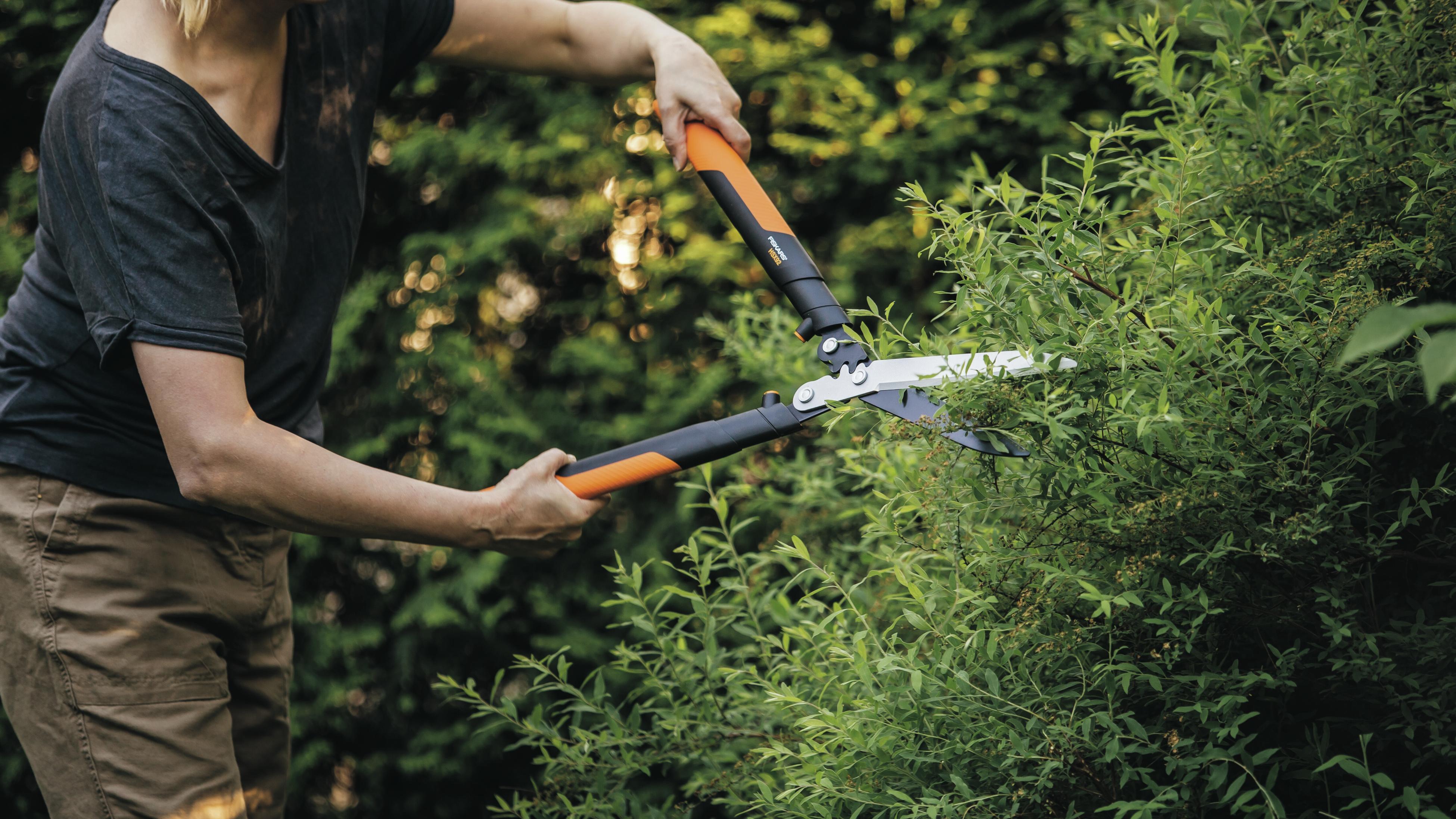 Fiskars pole 2024 pruner bunnings