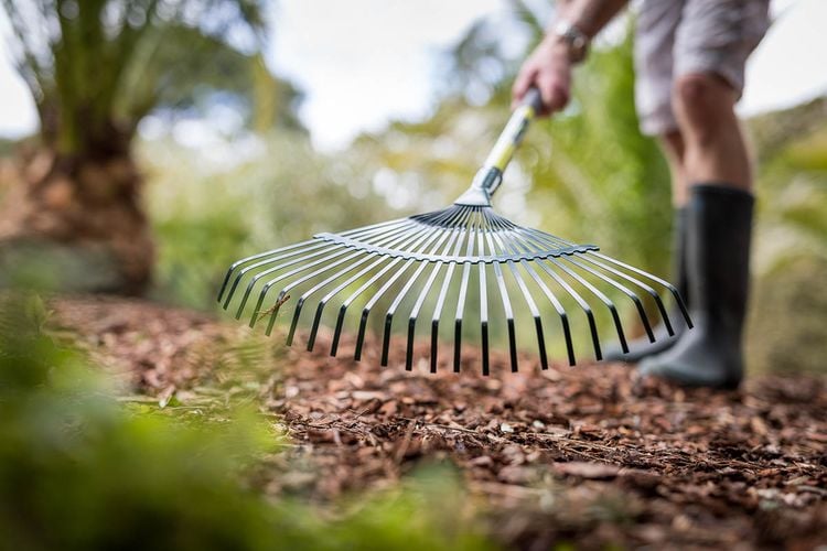 Person raking mulch
