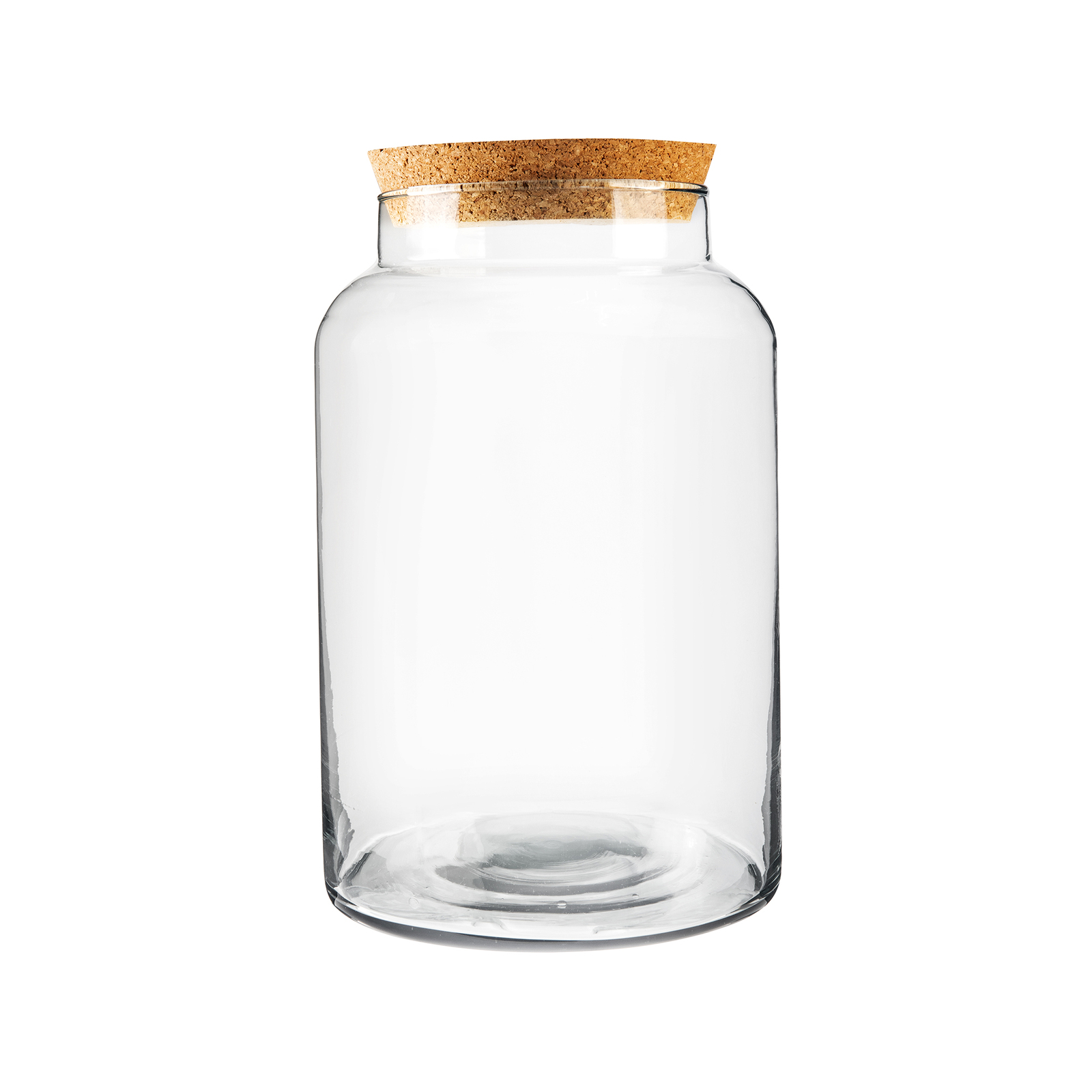 Small Closed Terrarium Bottle Bunnings Australia